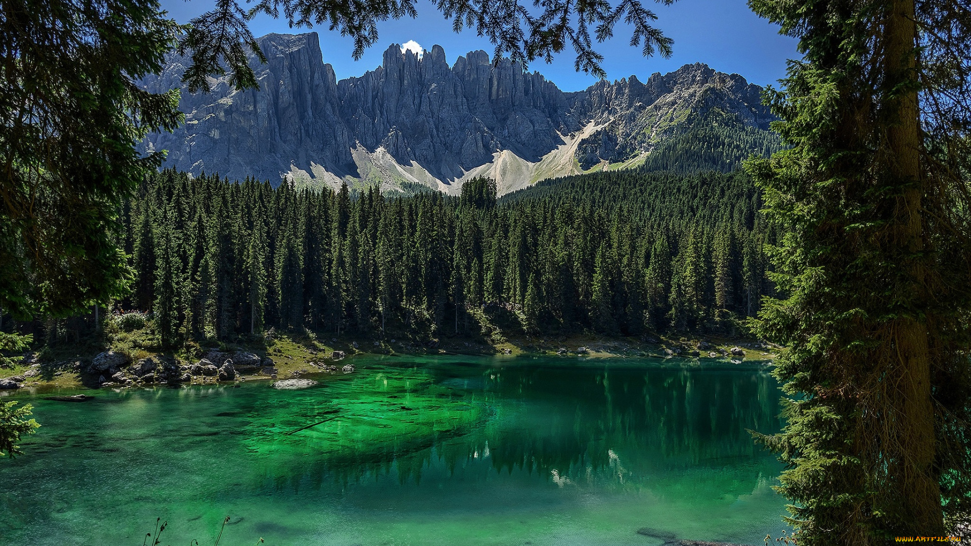 природа, реки, озера, простор