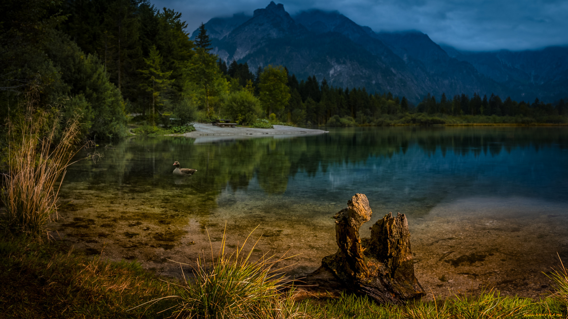 природа, реки, озера, простор