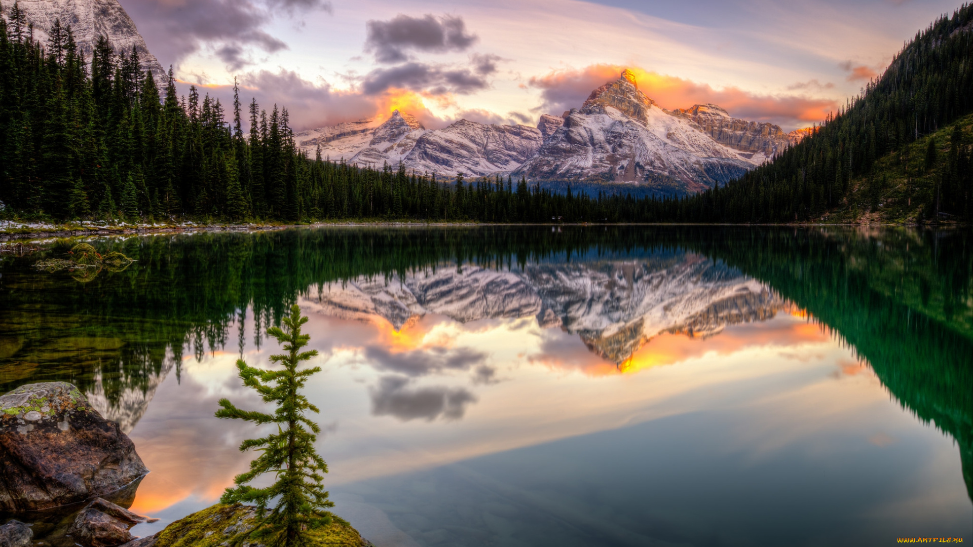 природа, реки, озера, простор