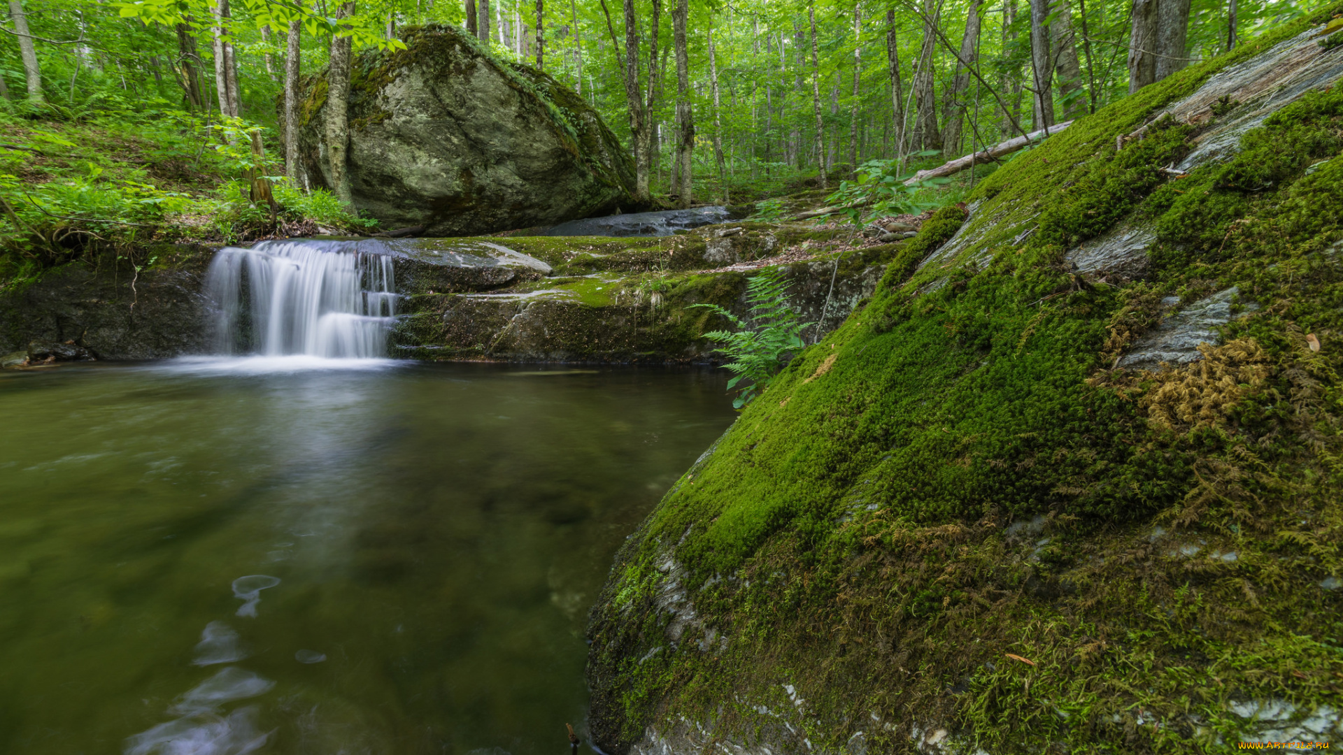природа, реки, озера, простор