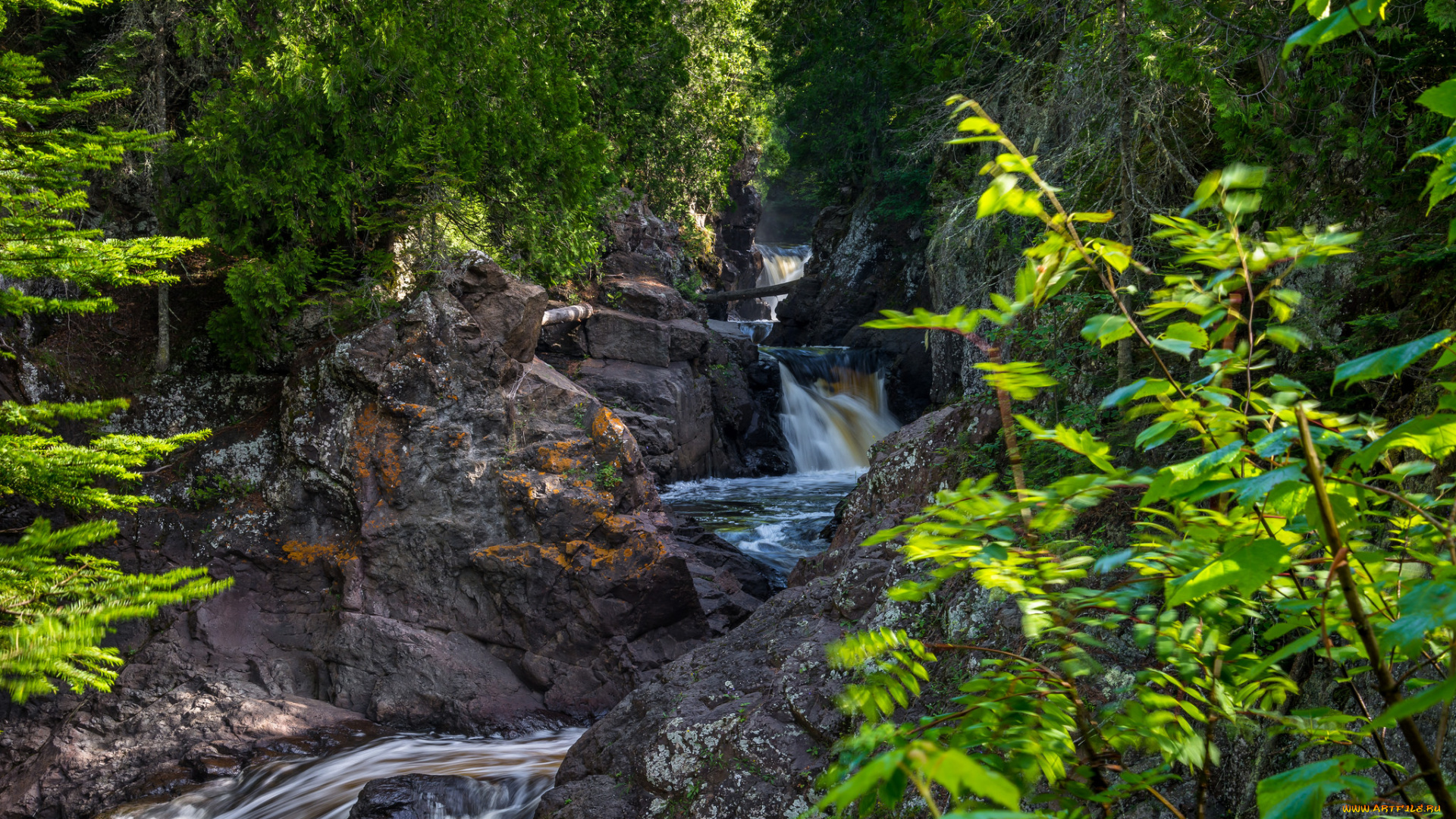 природа, реки, озера, простор