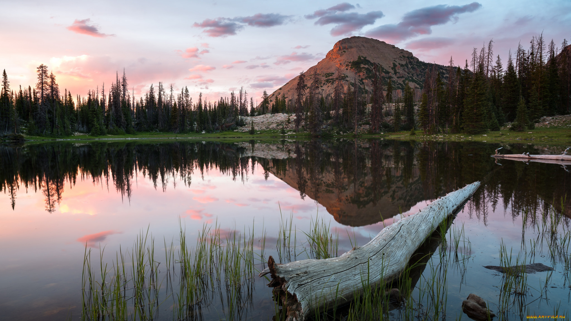 природа, реки, озера, простор