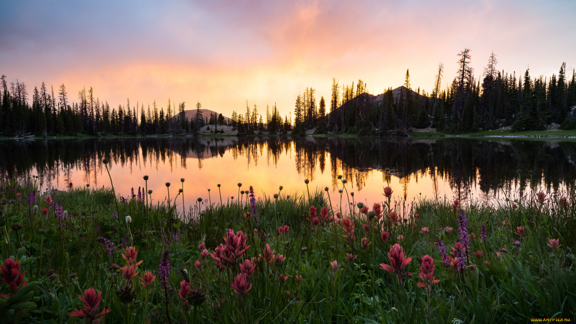 природа, реки, озера, простор