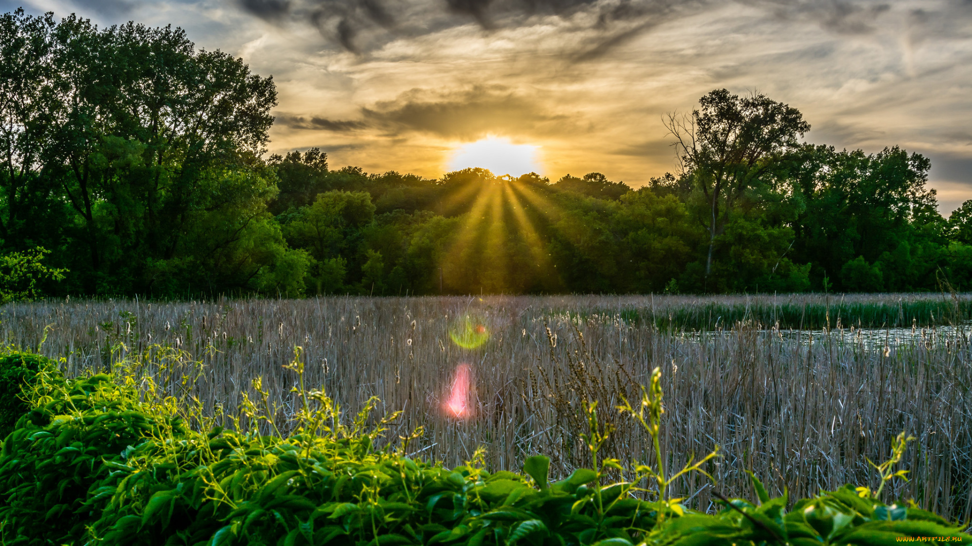 природа, восходы, закаты, простор