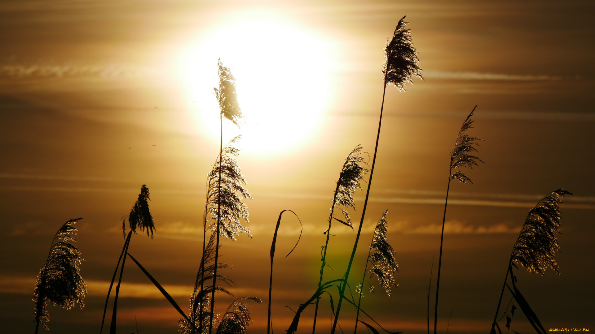 природа, восходы, закаты, простор