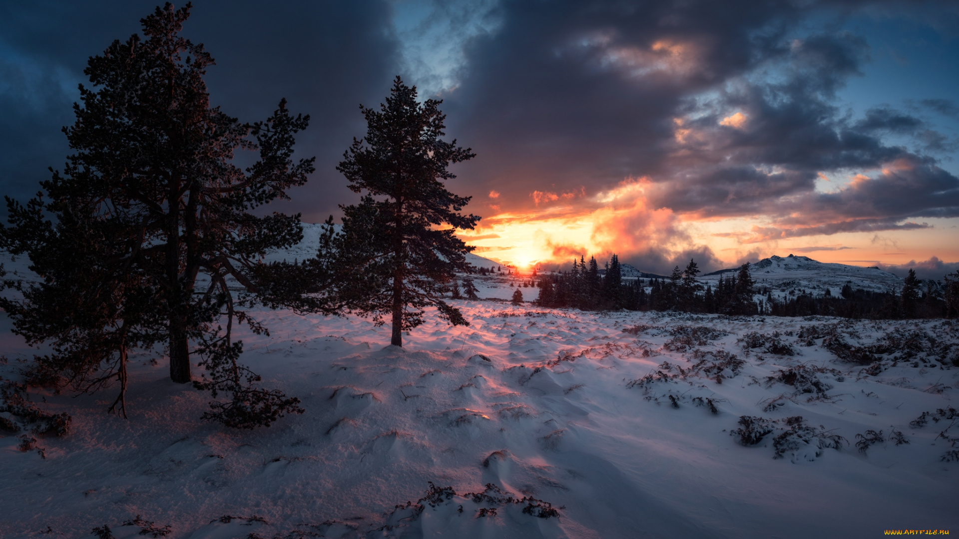 природа, зима, простор