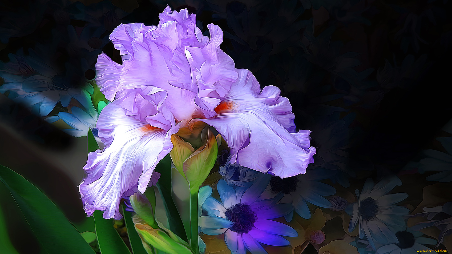 разное, компьютерный, дизайн, линии, краски, макро, лепестки, ирис, цветок