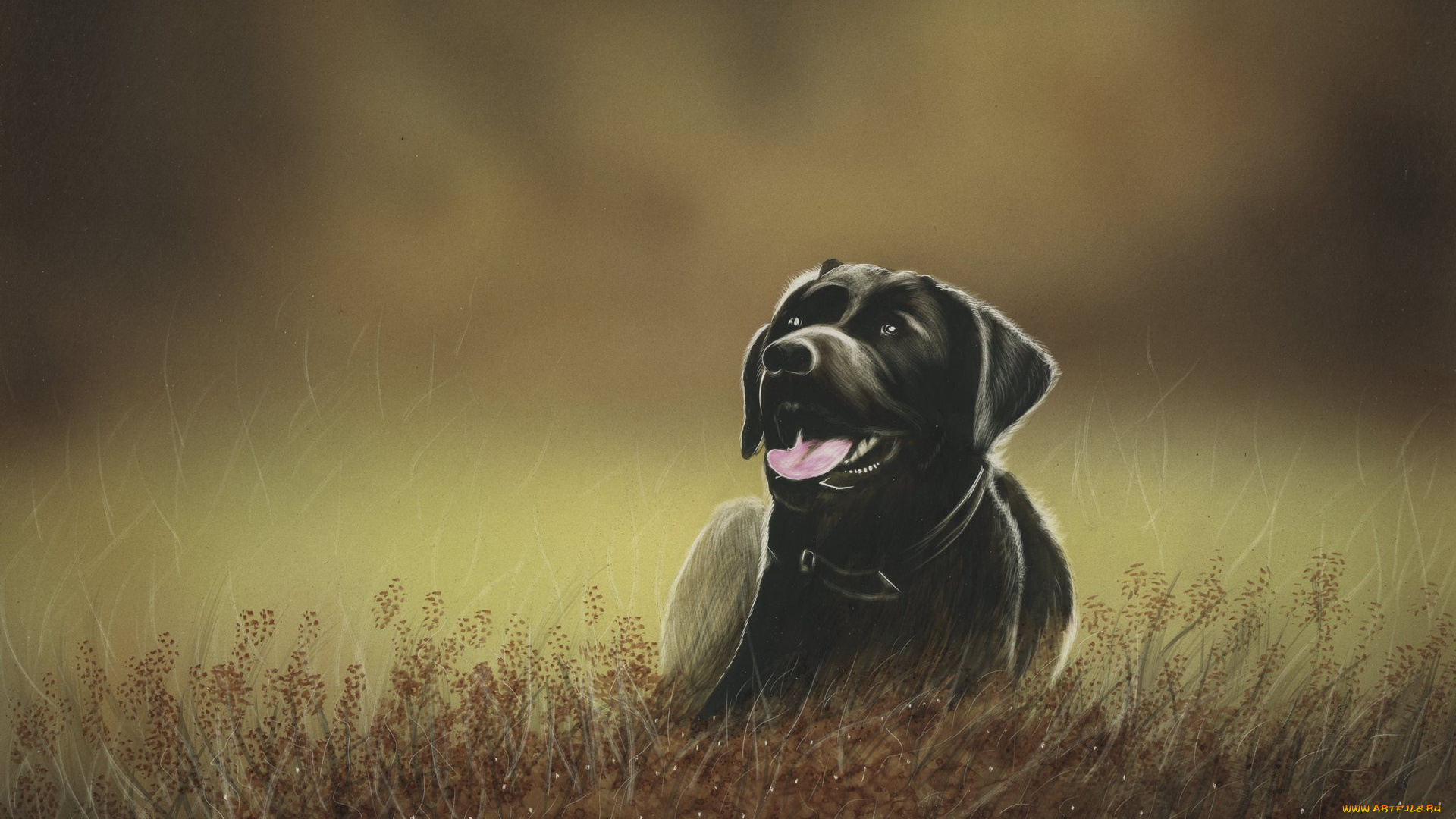 рисованное, животные, , собаки, взгляд, растения, морда