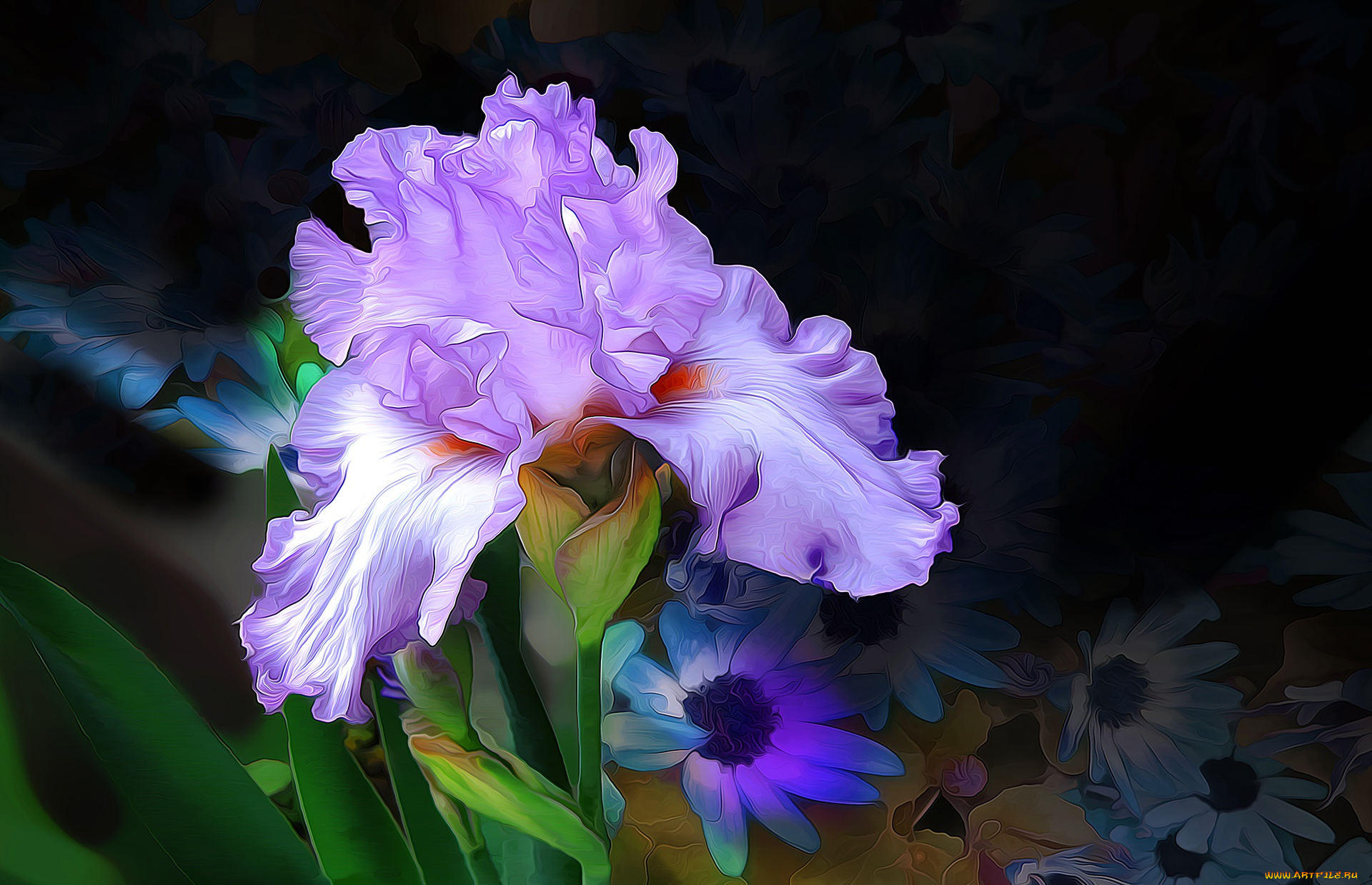 разное, компьютерный, дизайн, линии, краски, макро, лепестки, ирис, цветок