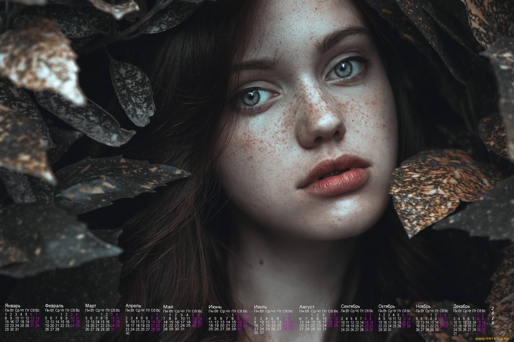 календари, девушки, листья, лицо, взгляд