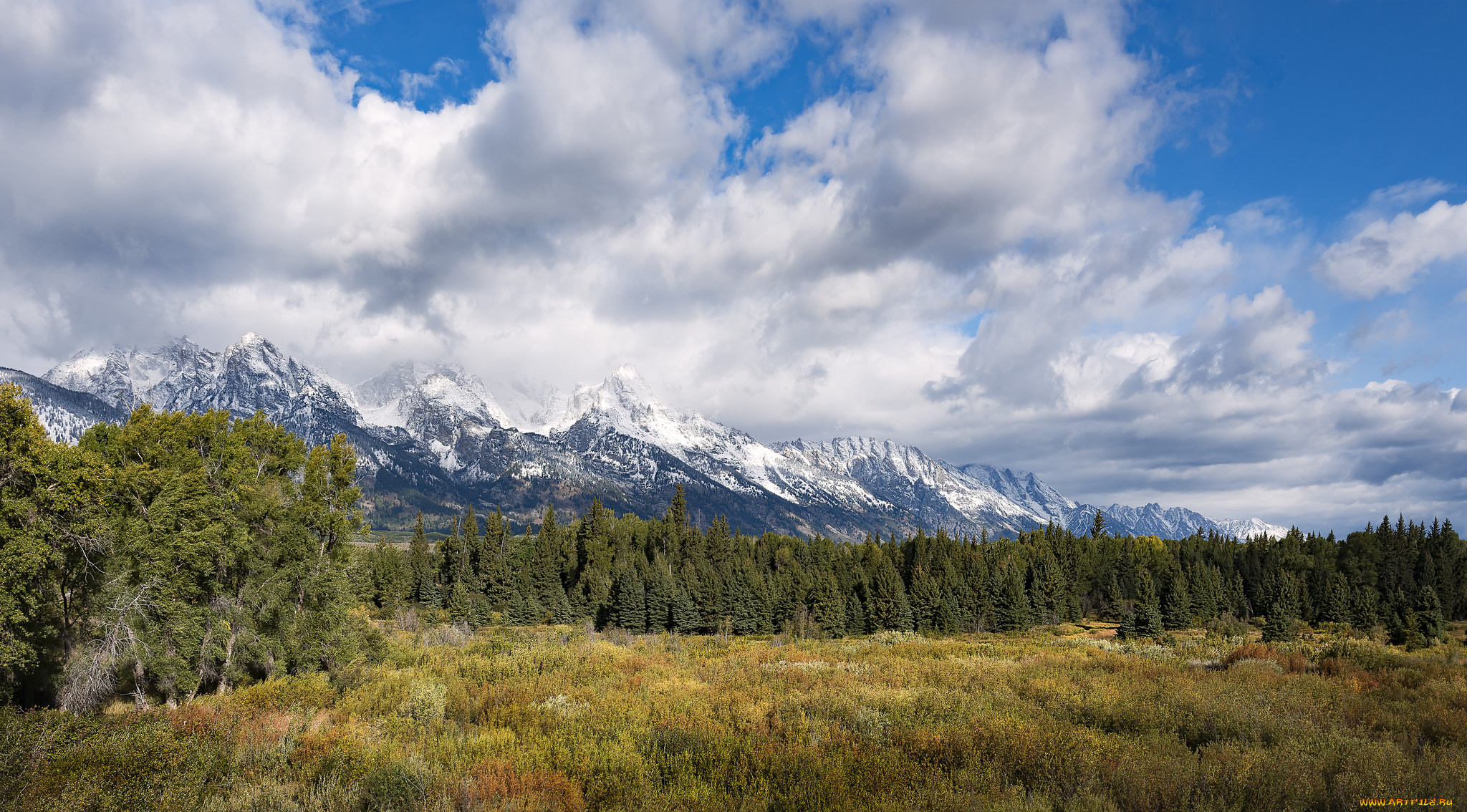природа, пейзажи, простор