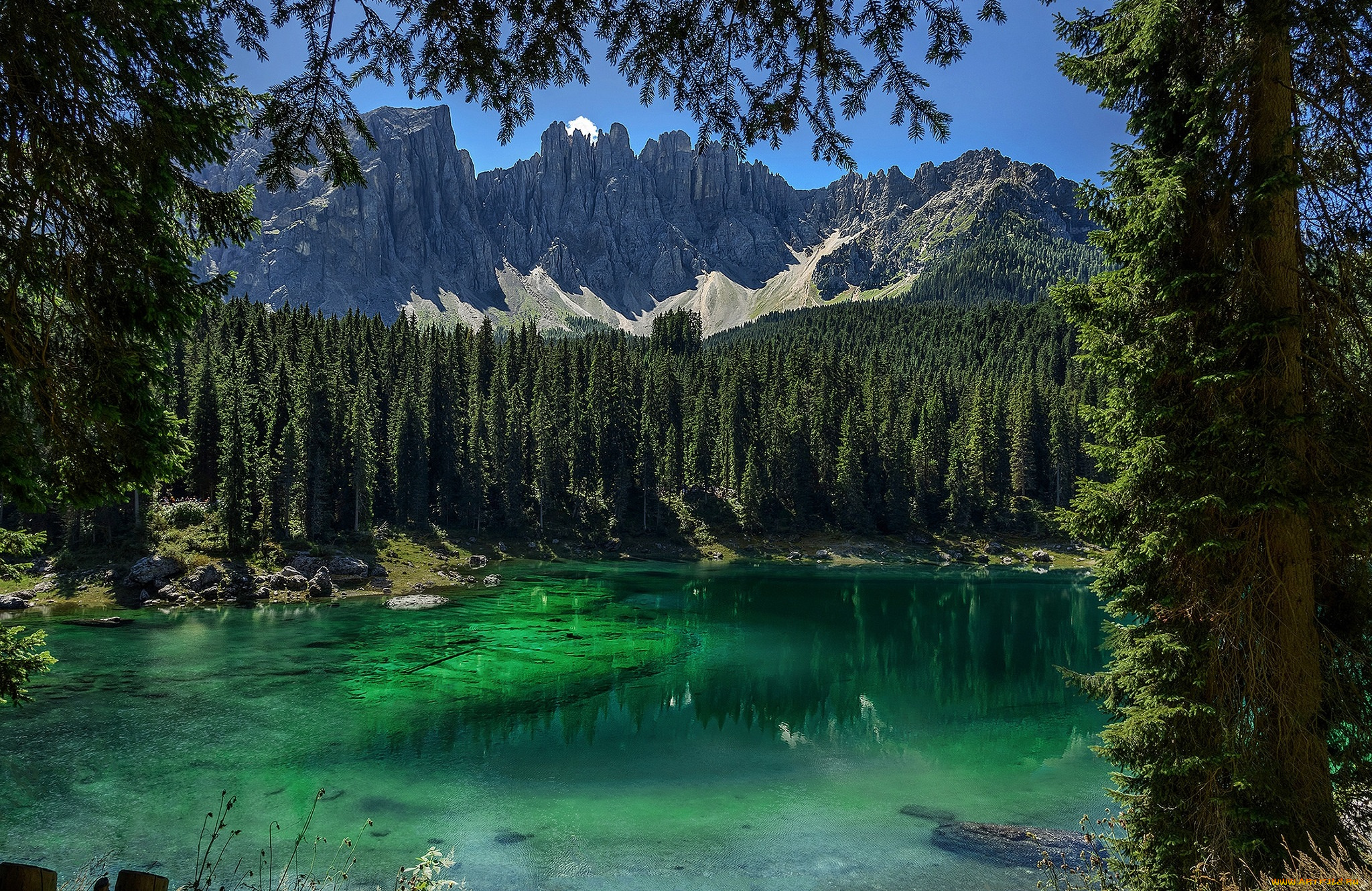 природа, реки, озера, простор