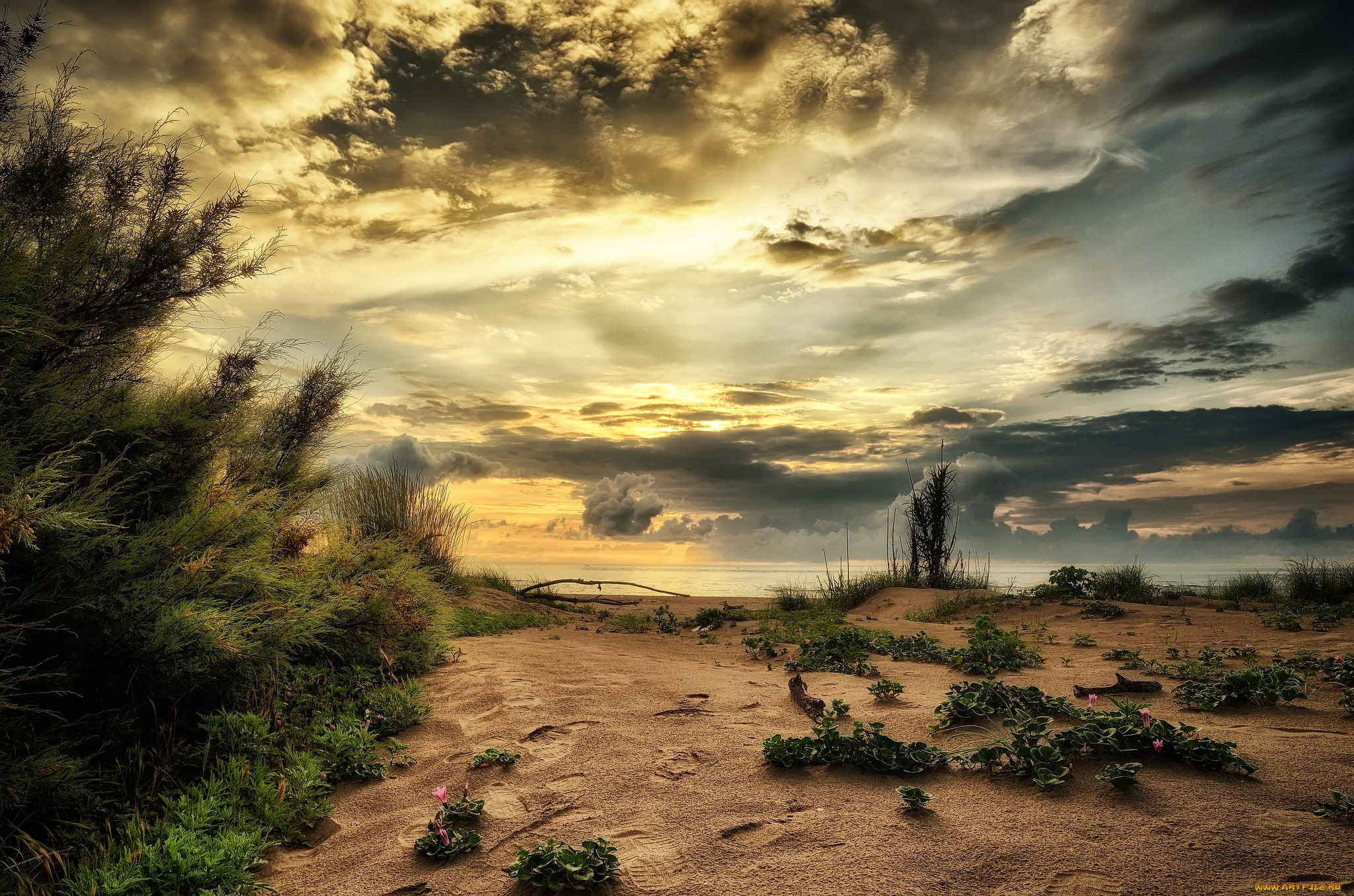 природа, пейзажи, простор