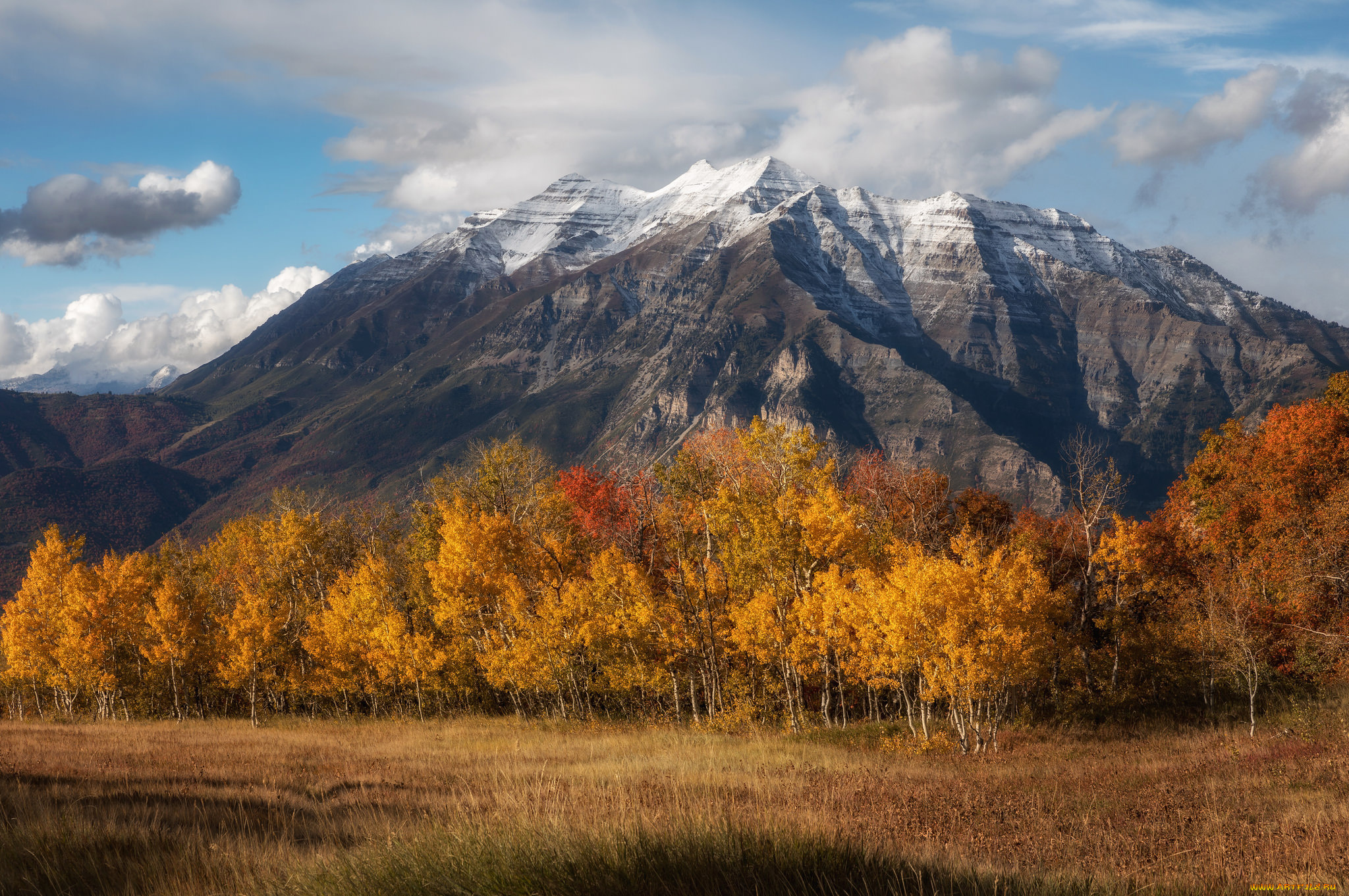 природа, горы, простор