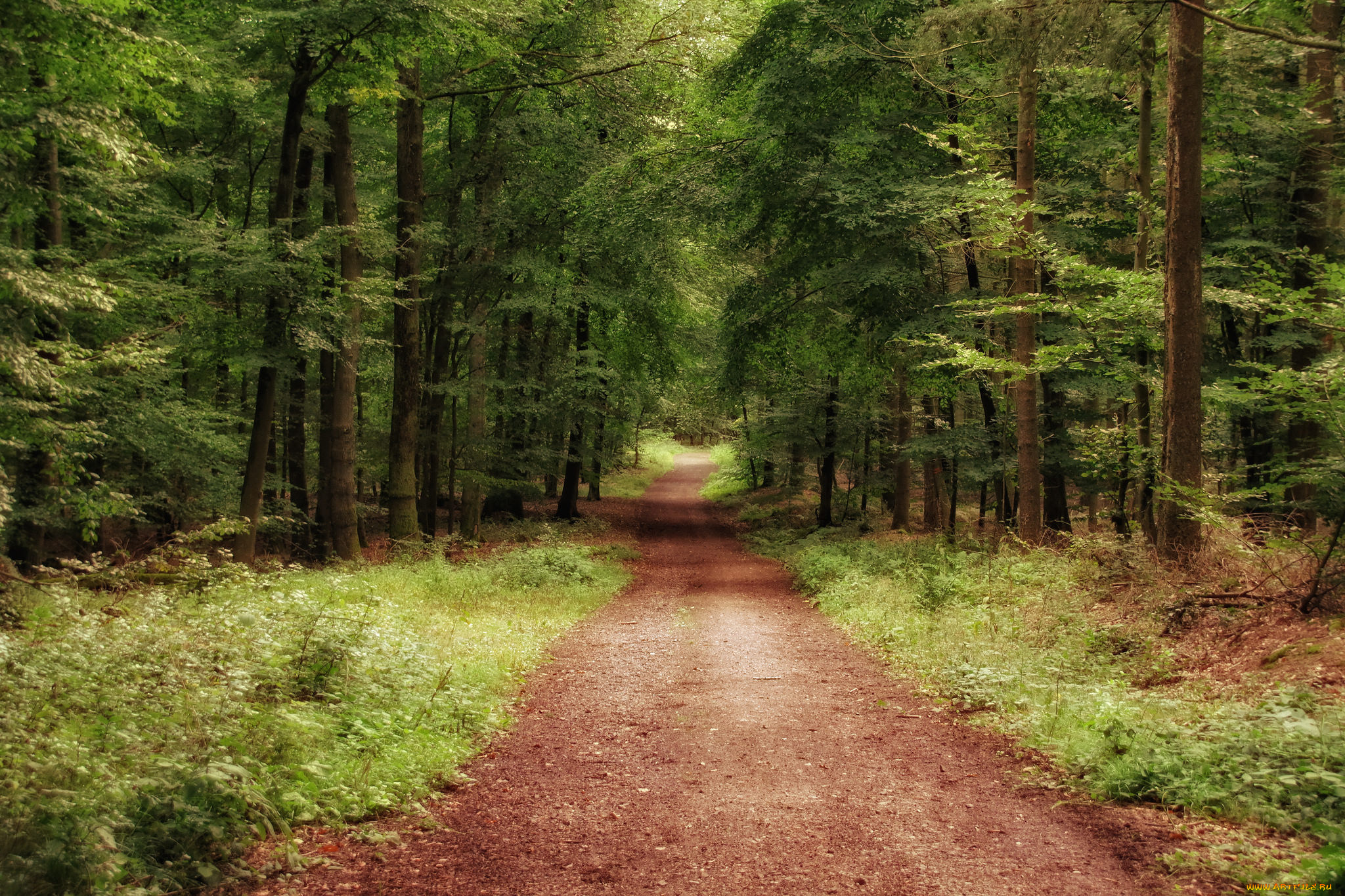 природа, дороги, простор