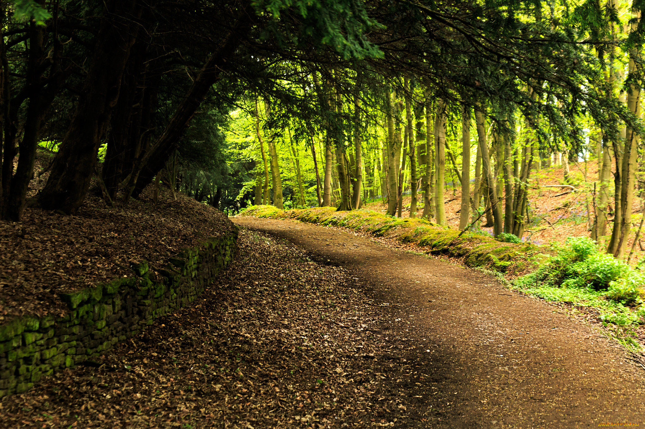 природа, дороги, простор