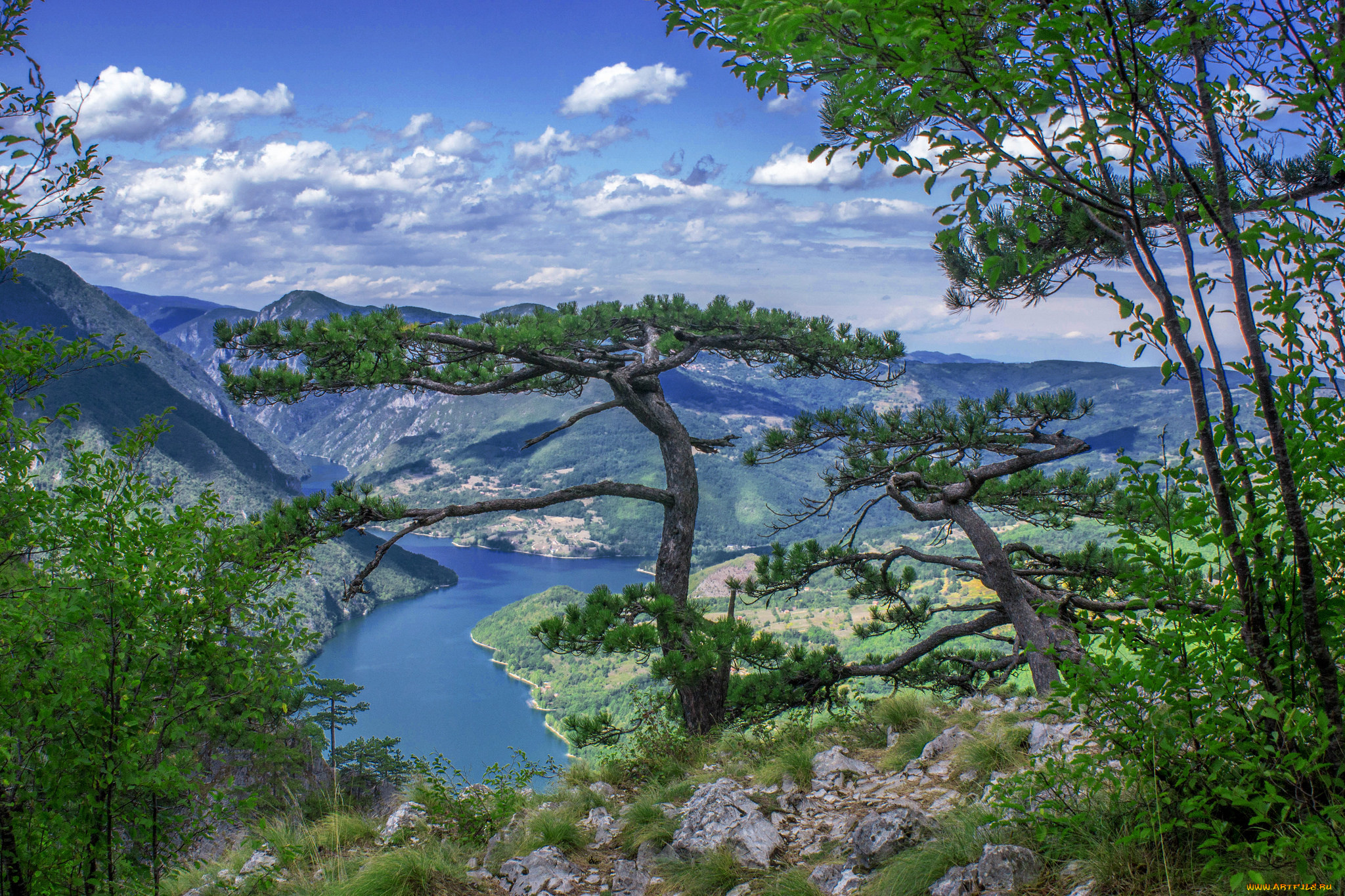 природа, пейзажи, простор