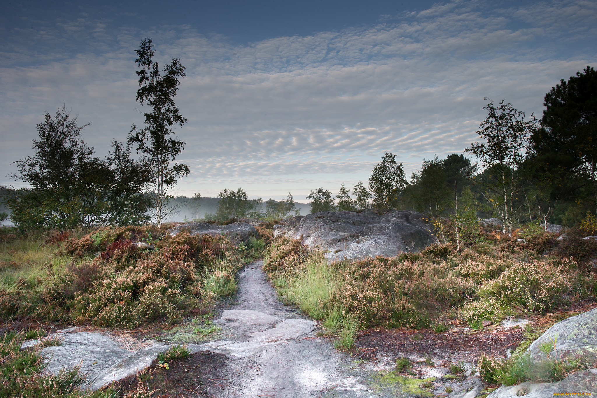 природа, реки, озера, простор