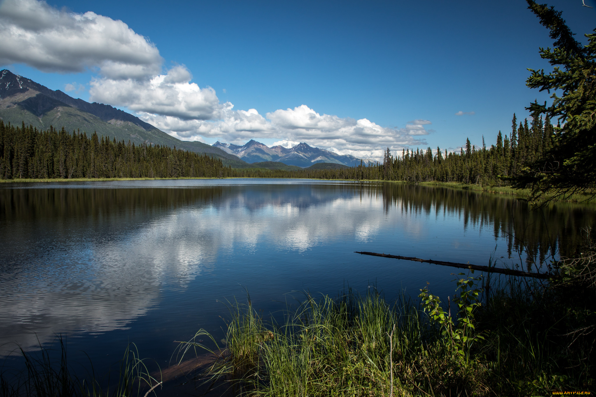 природа, реки, озера, простор