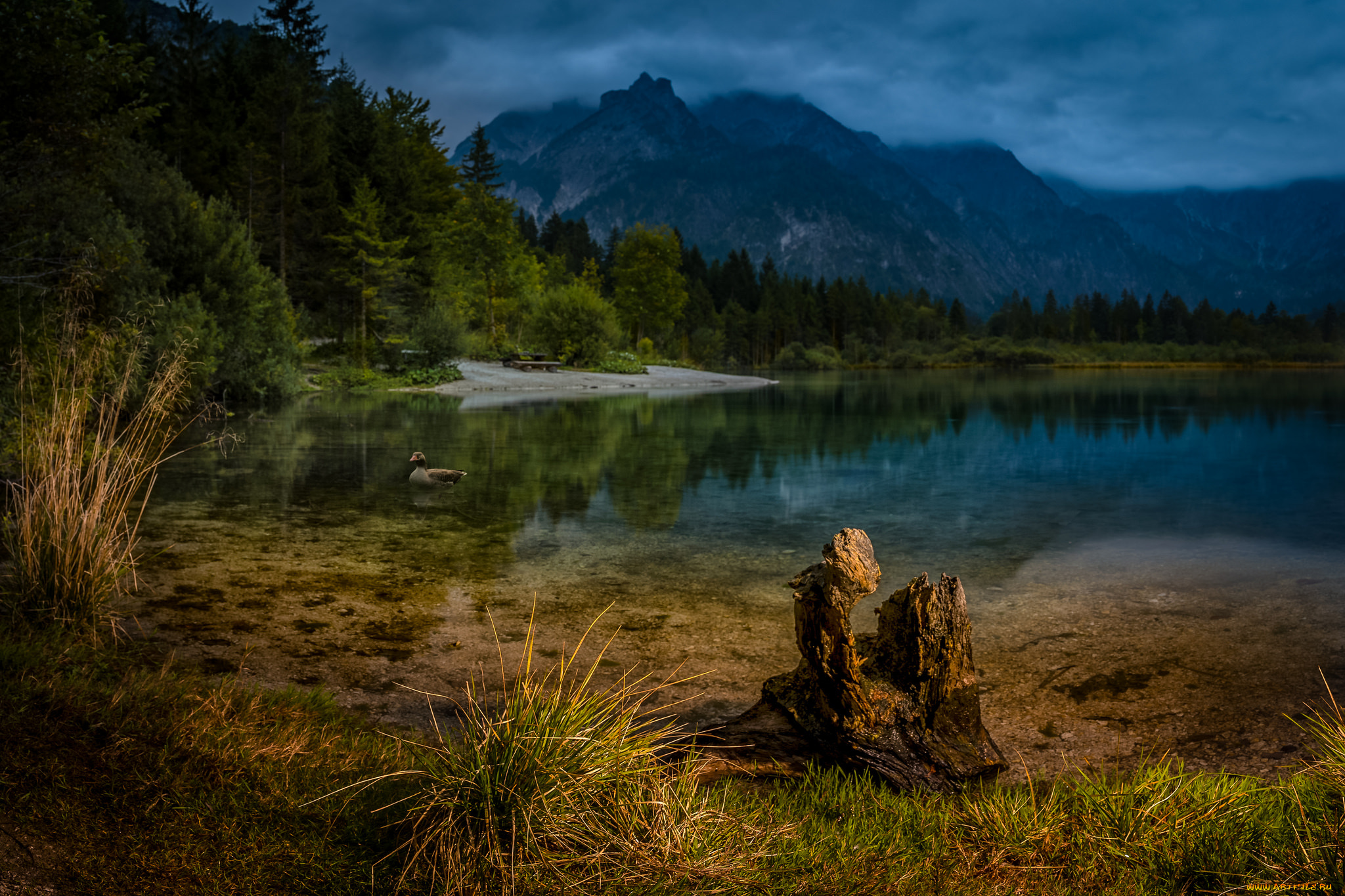 природа, реки, озера, простор