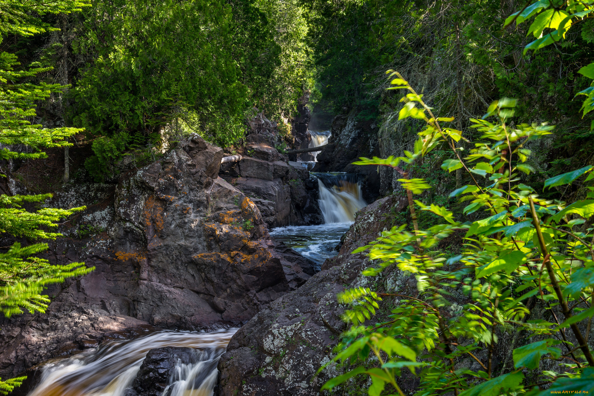 природа, реки, озера, простор