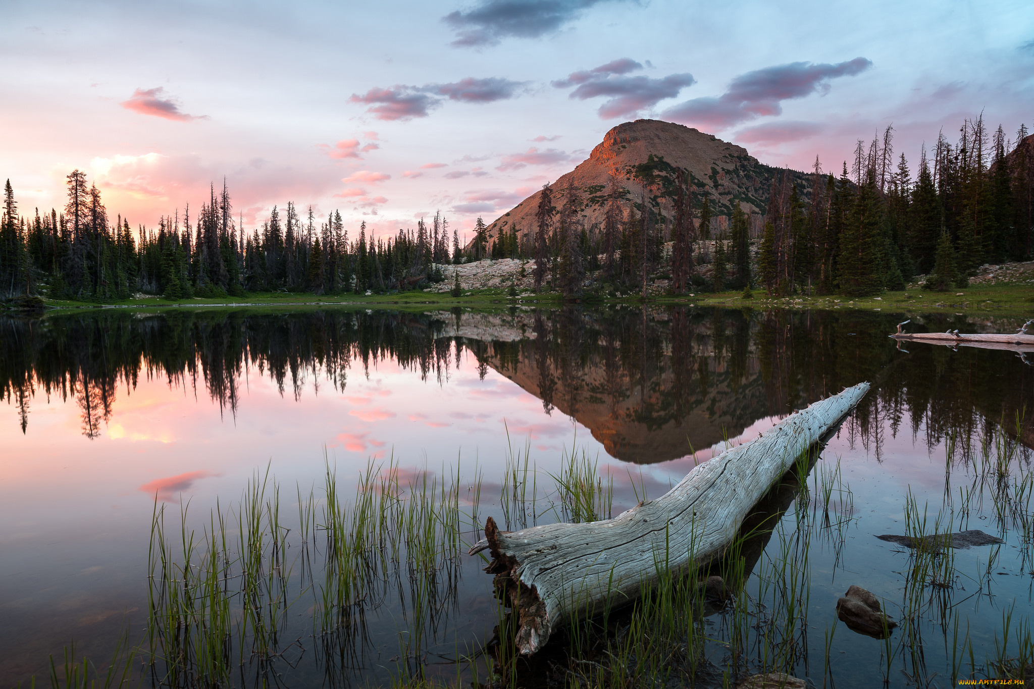 природа, реки, озера, простор