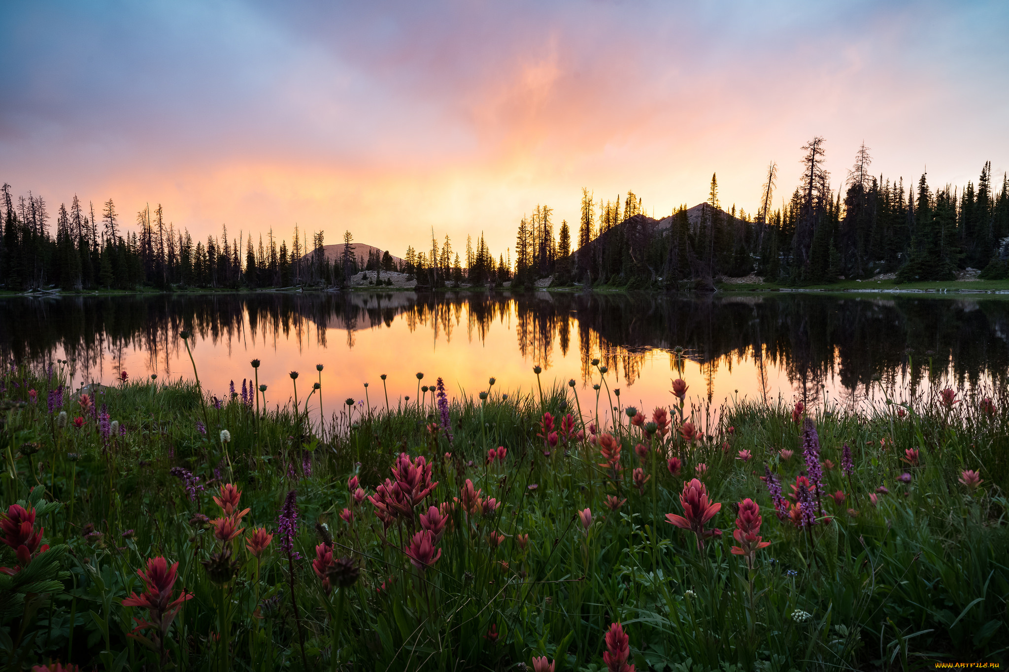 природа, реки, озера, простор