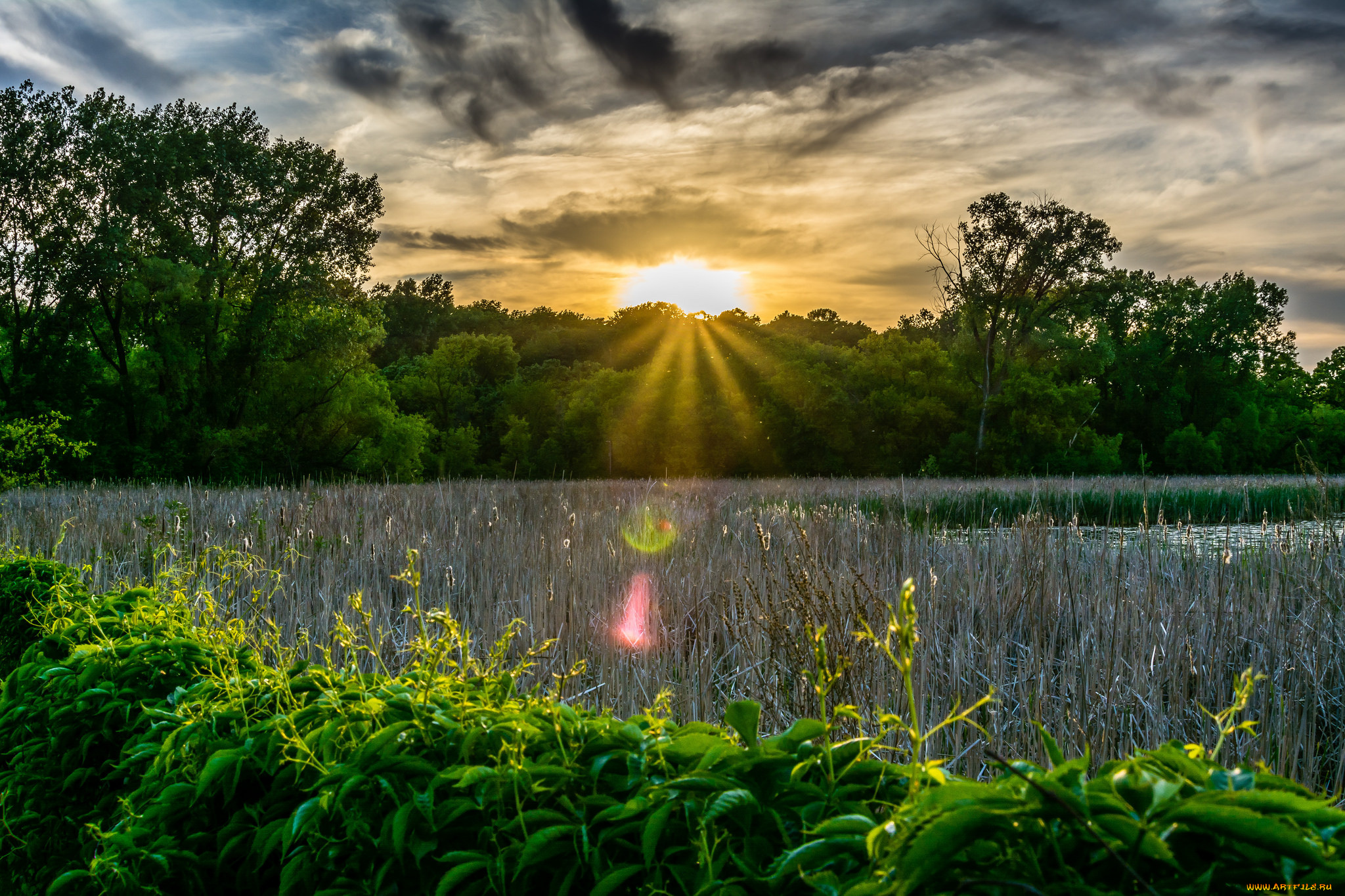 природа, восходы, закаты, простор