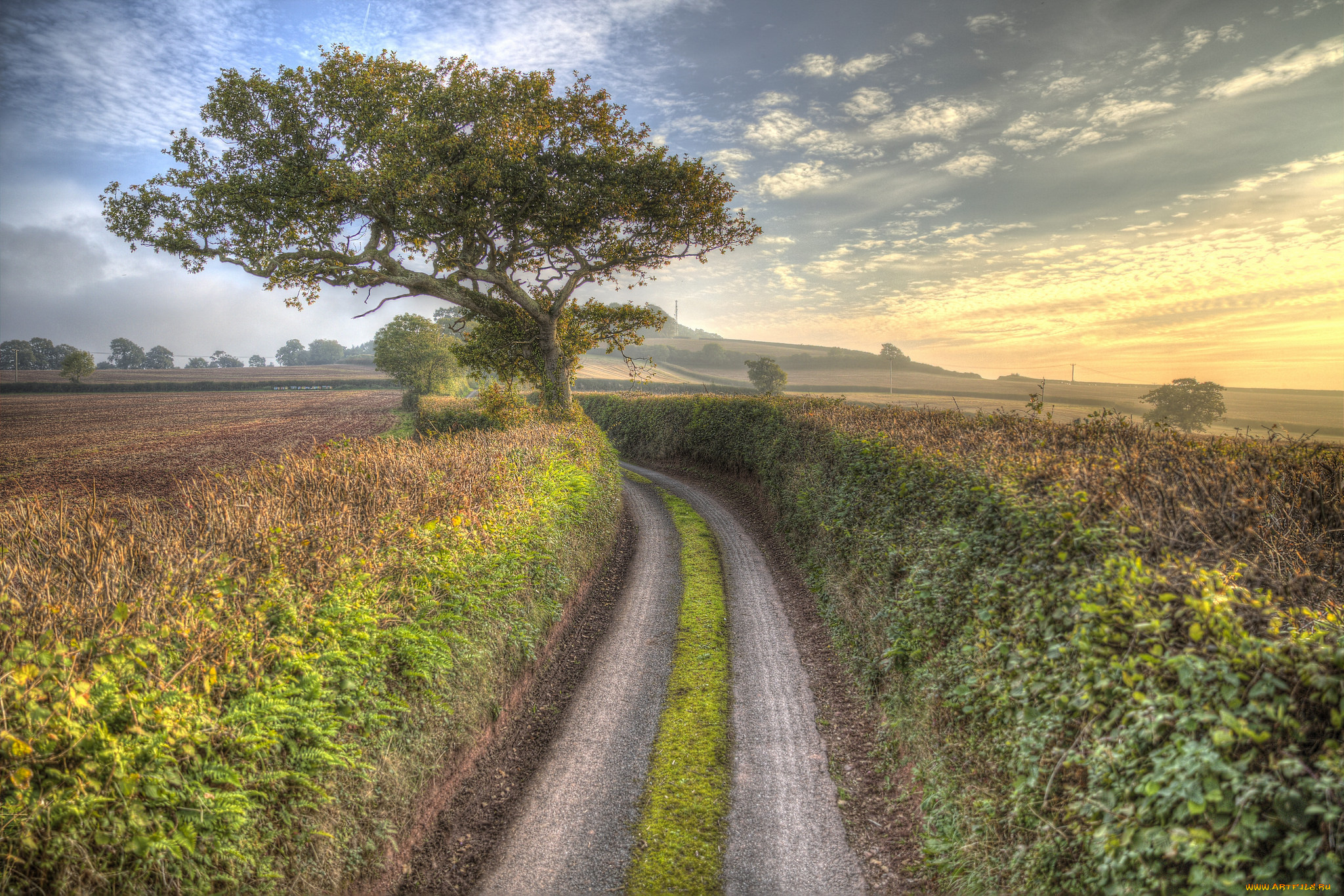 природа, дороги, простор