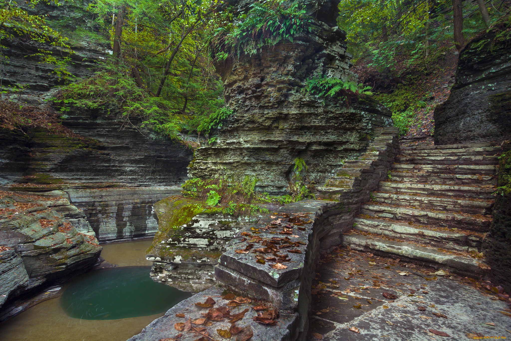 природа, горы, простор