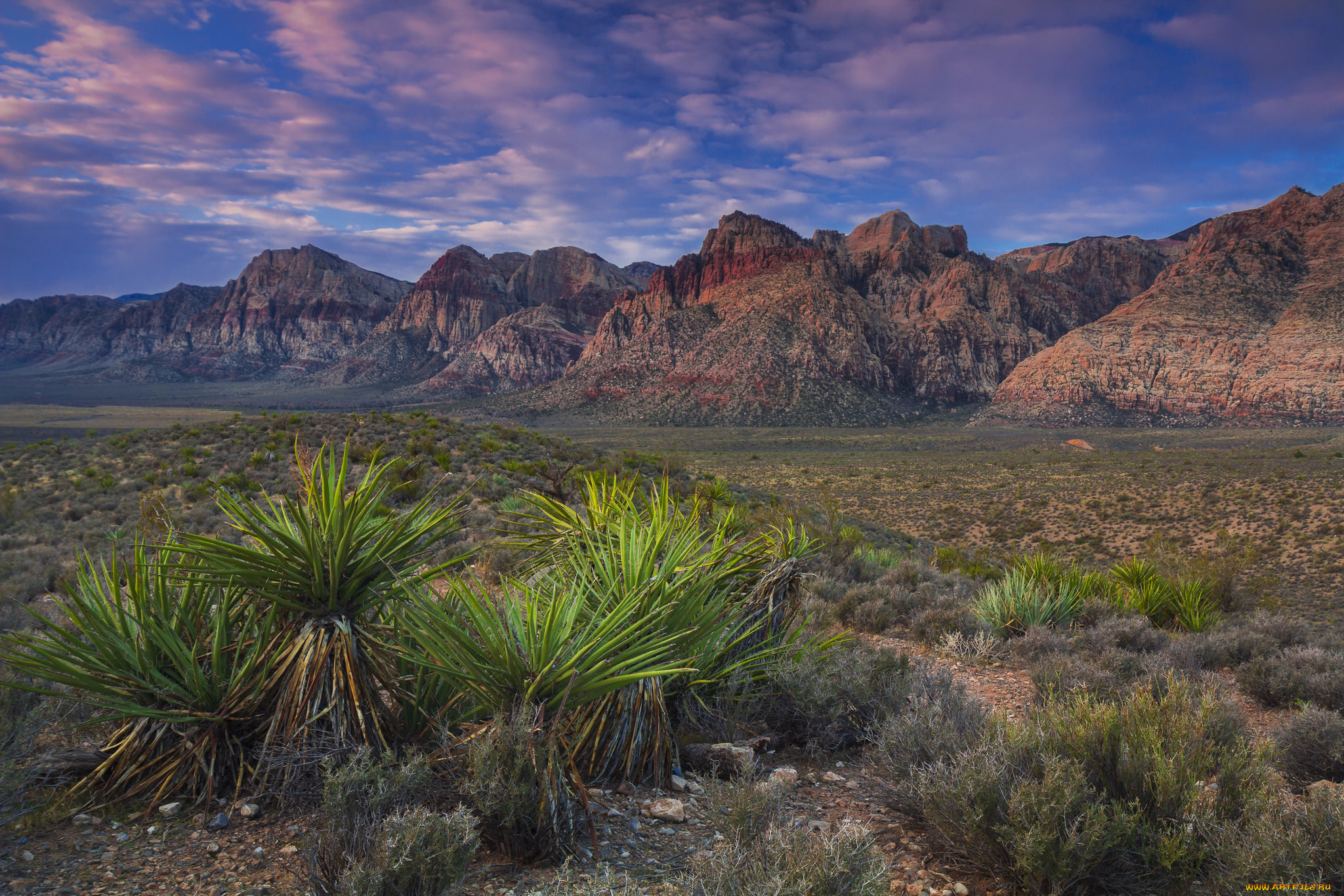 природа, пустыни, простор
