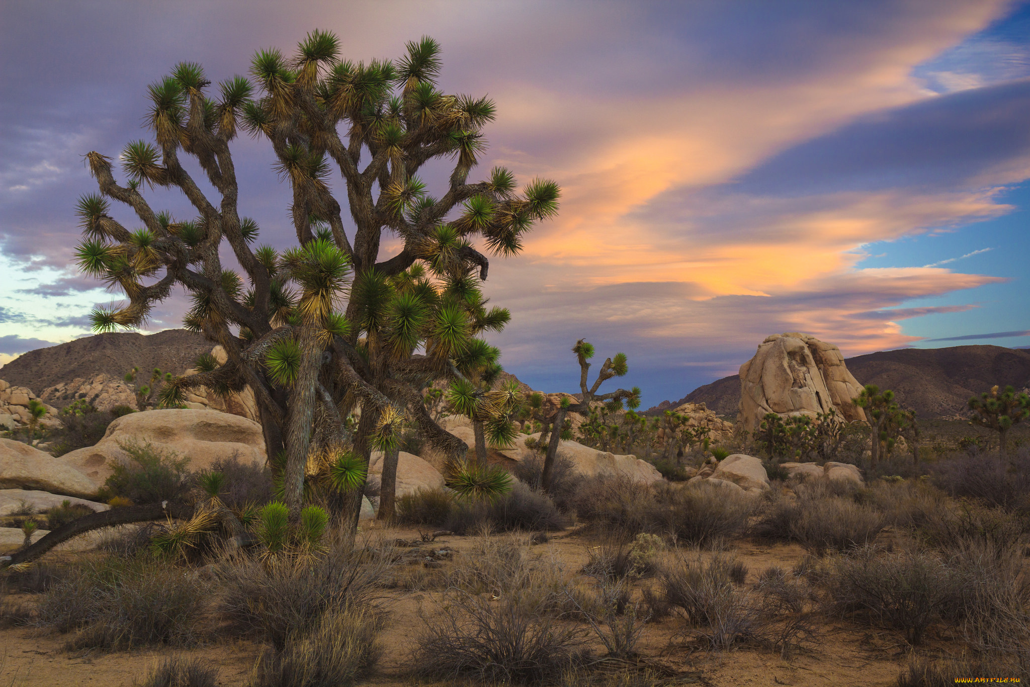 природа, пустыни, простор