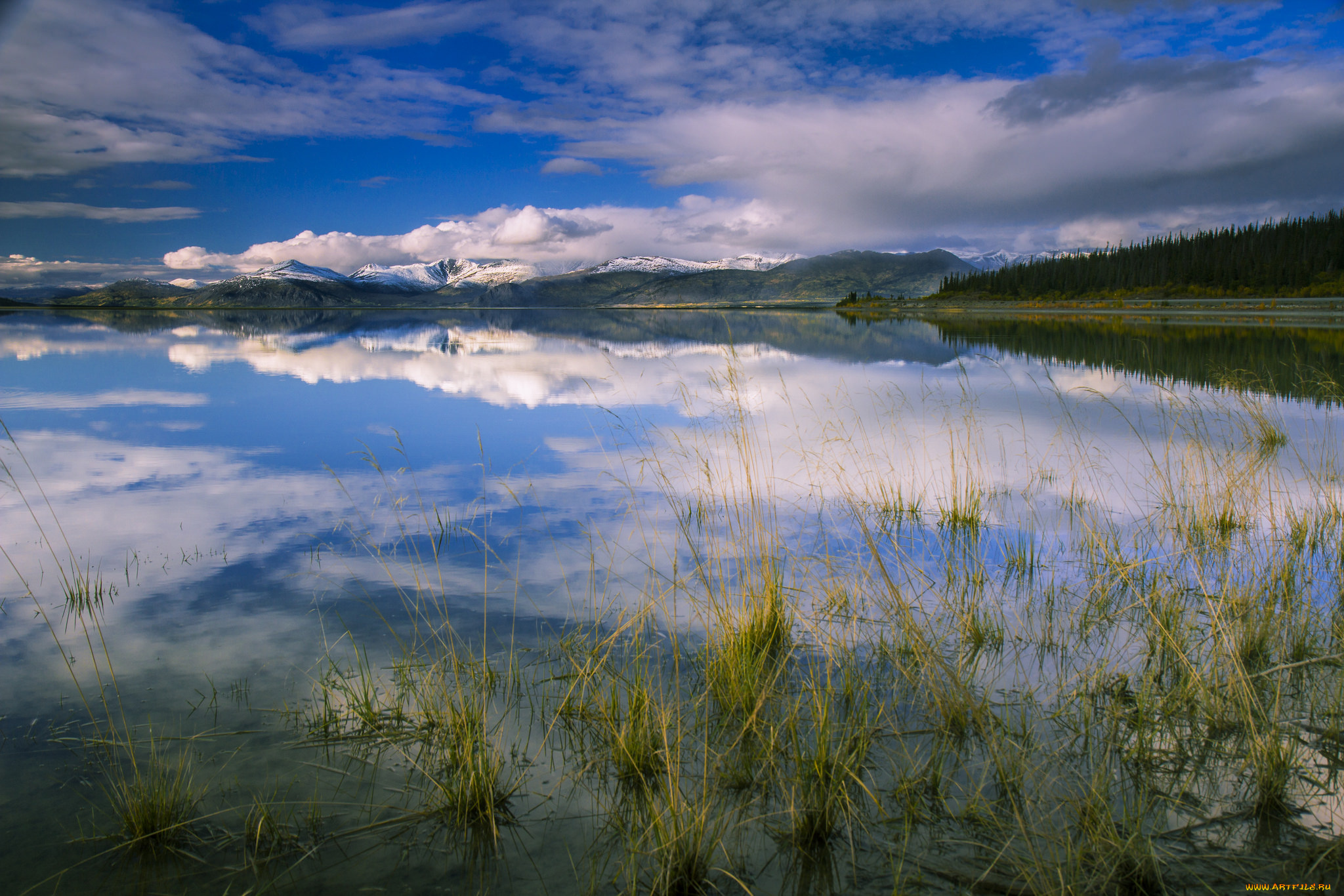 природа, реки, озера, простор