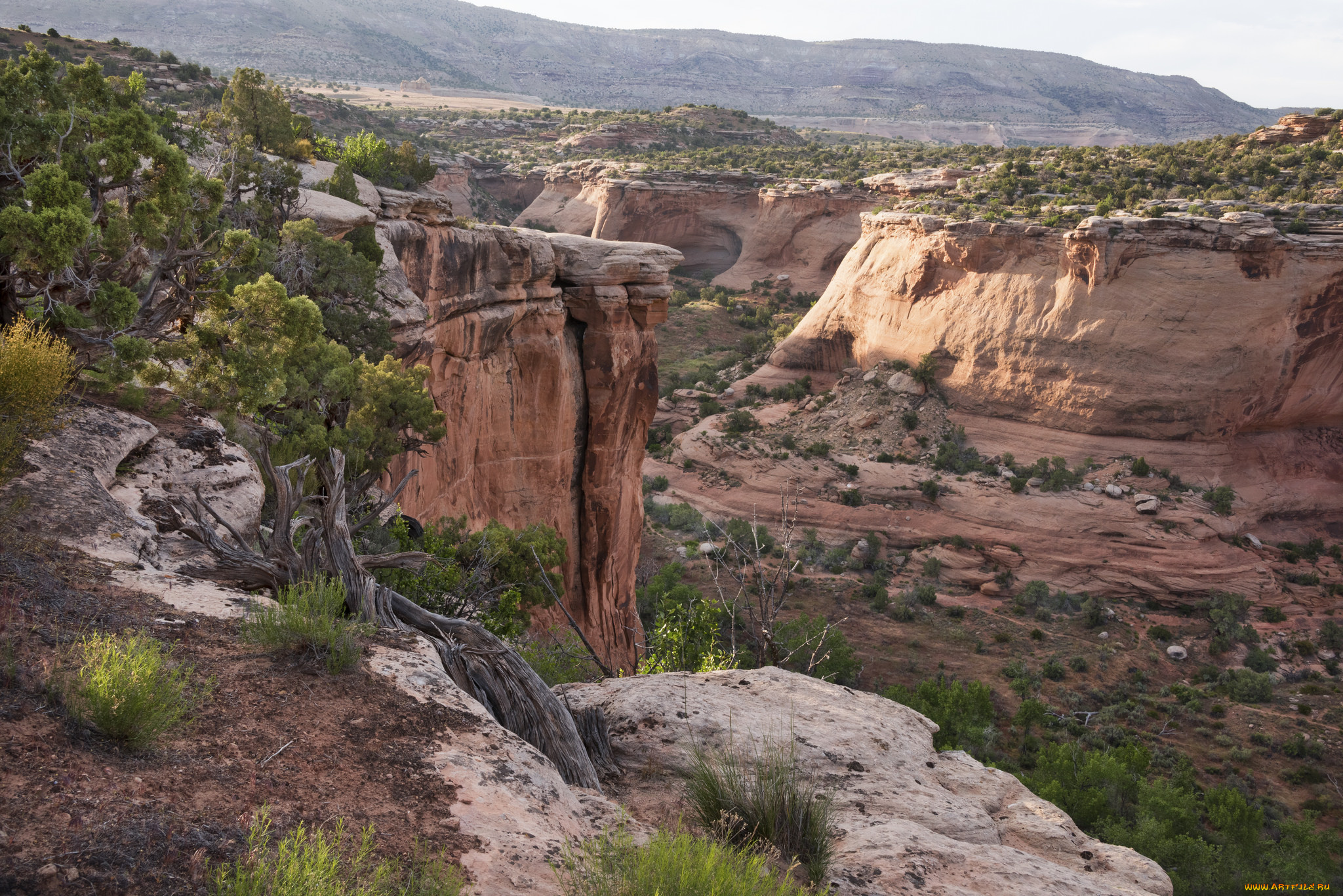 природа, горы, простор