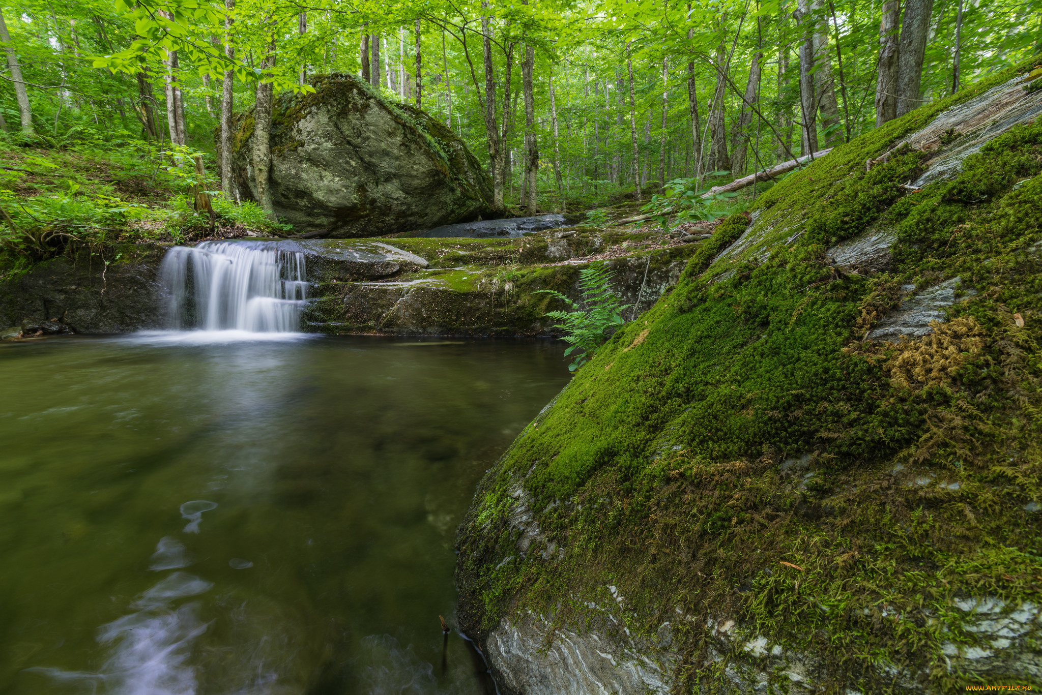 природа, реки, озера, простор