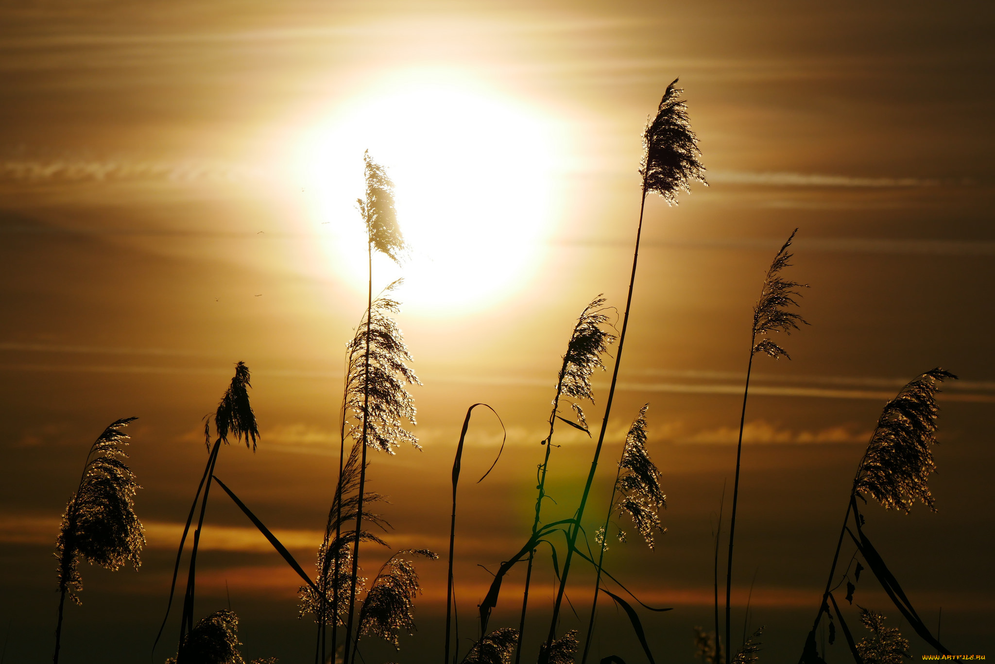 природа, восходы, закаты, простор