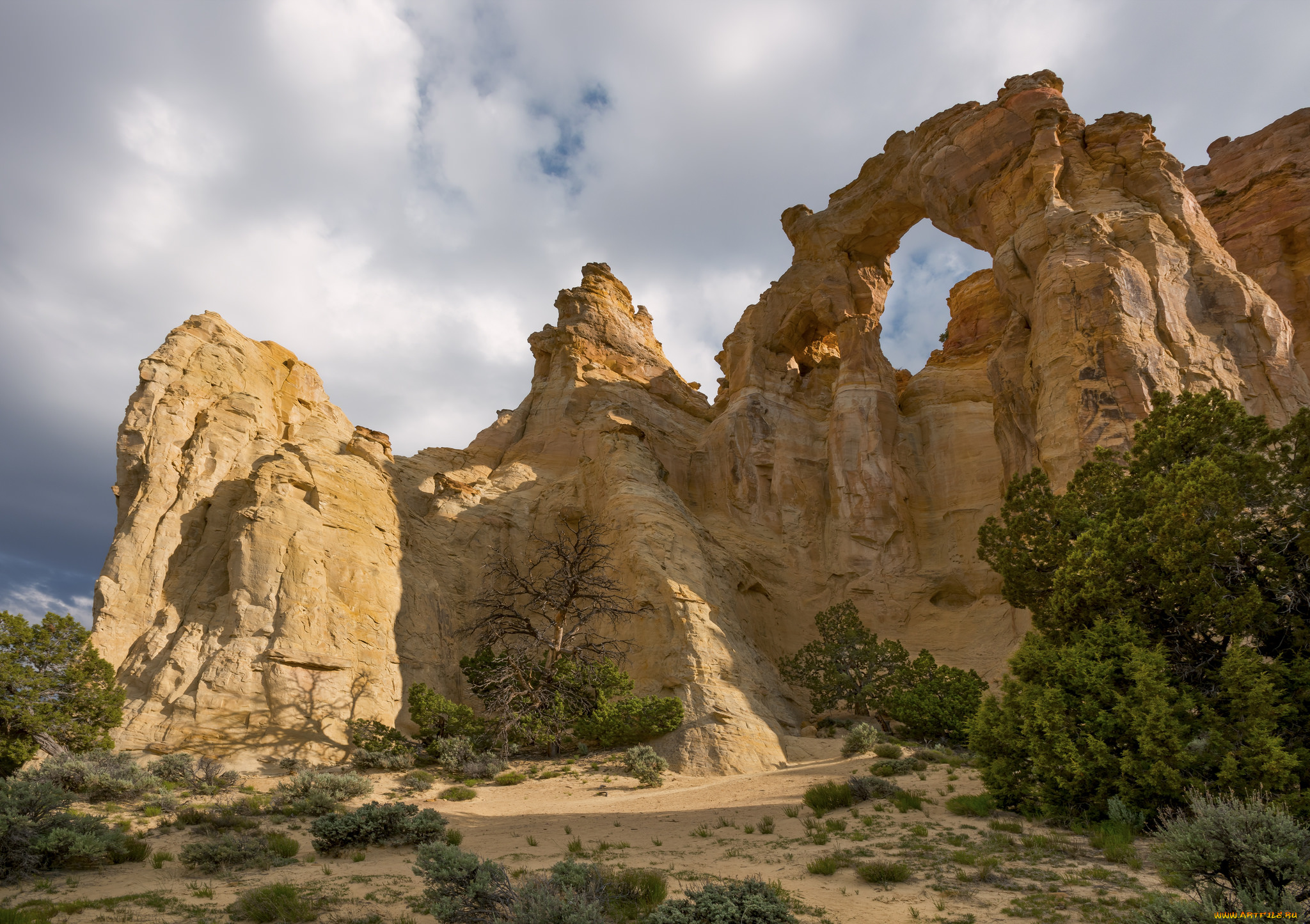 природа, горы, простор