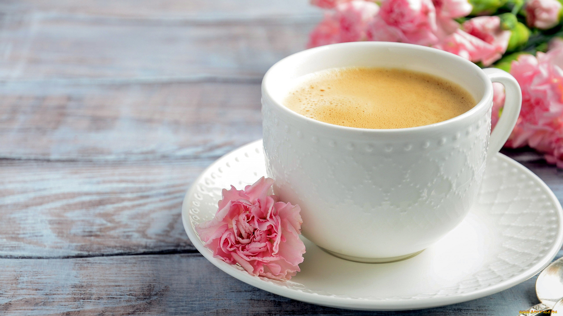 еда, кофе, , кофейные, зёрна, чашка, блюдце, гвоздика