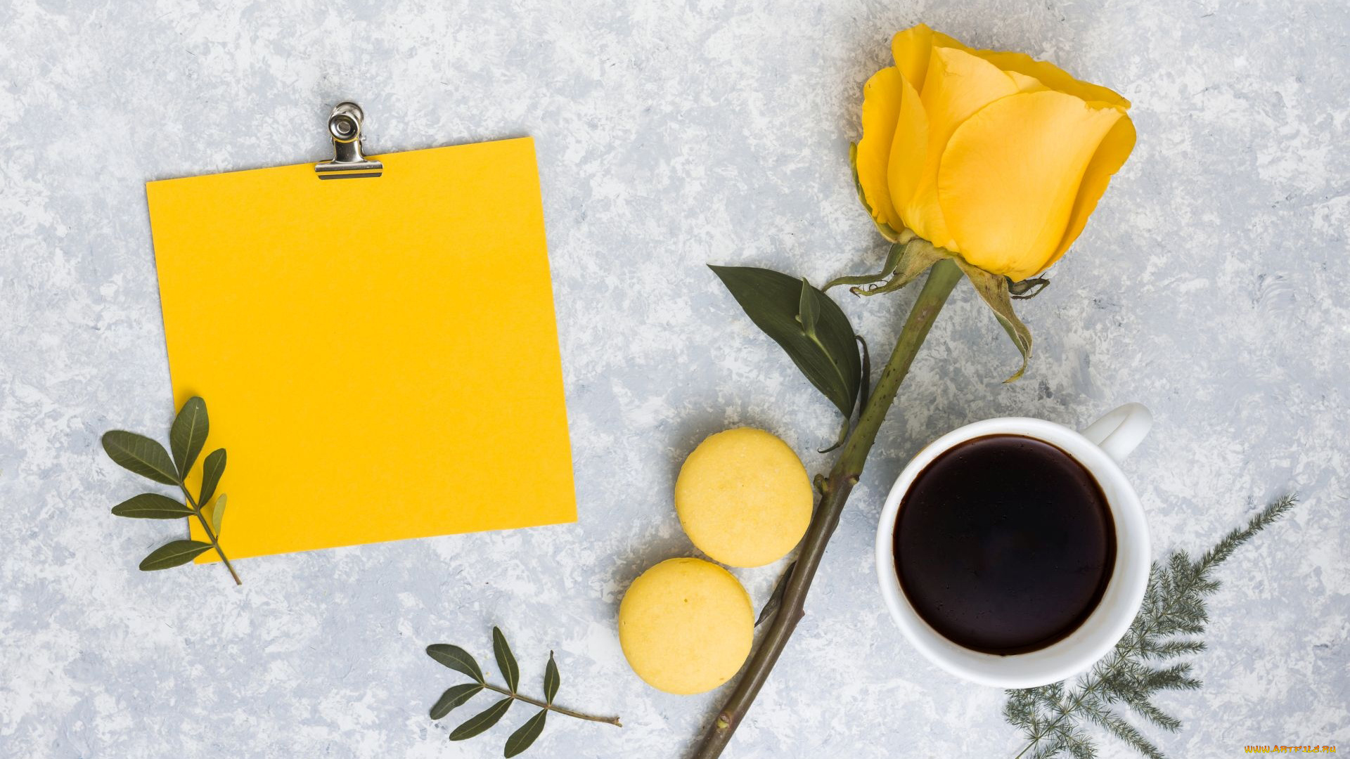 еда, кофе, , кофейные, зёрна, макаруны, роза