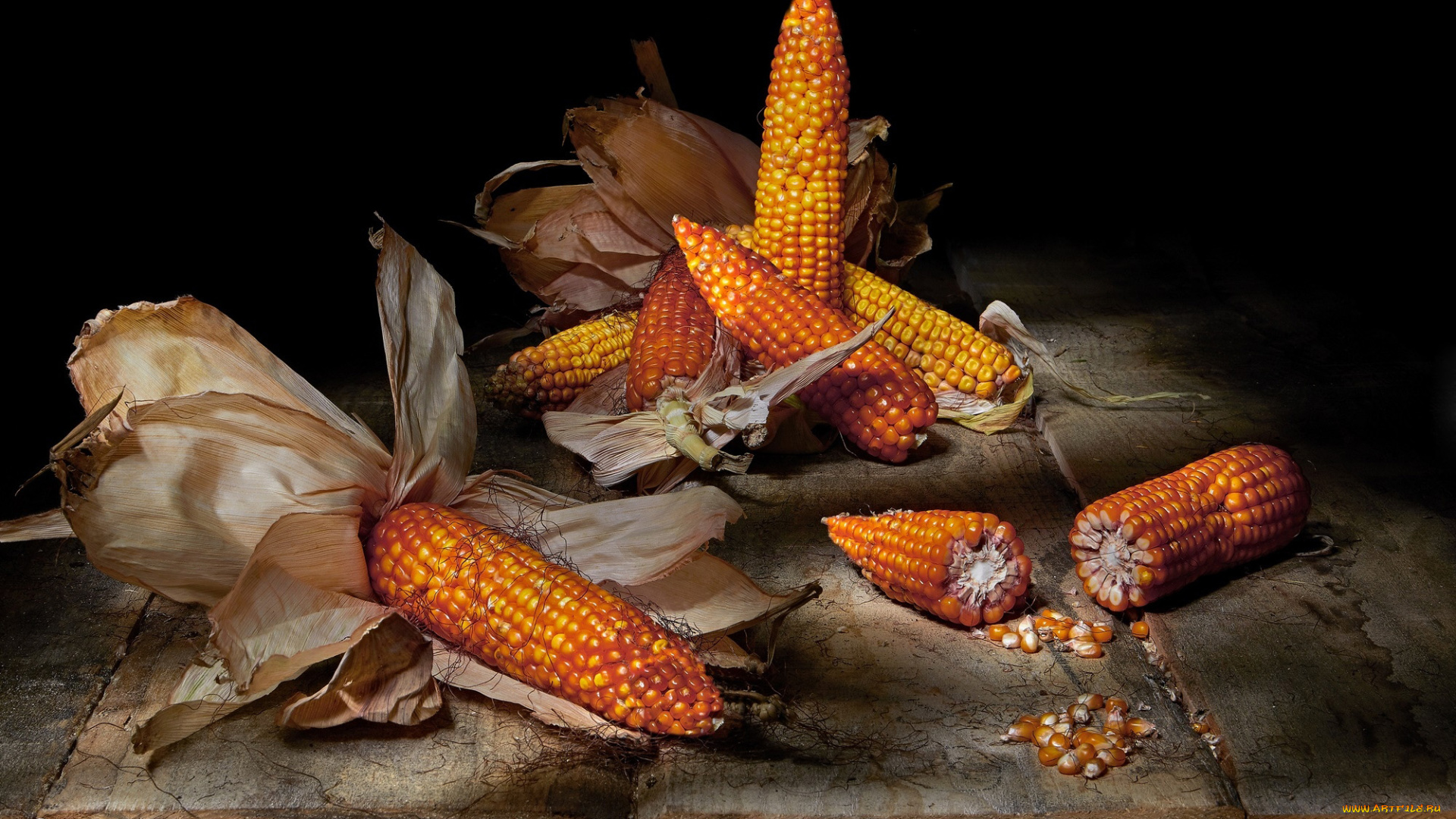 еда, кукуруза, початки, зерна