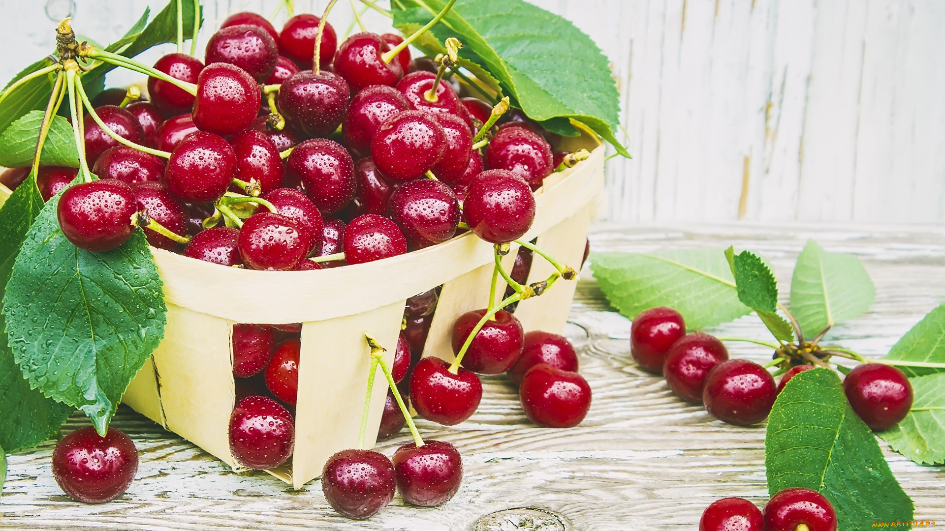 еда, вишня, , черешня, вишни