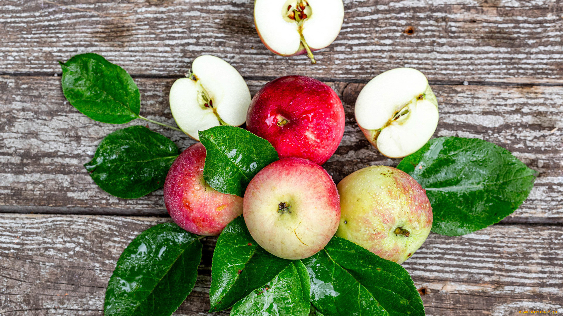 еда, яблоки, краснобокие