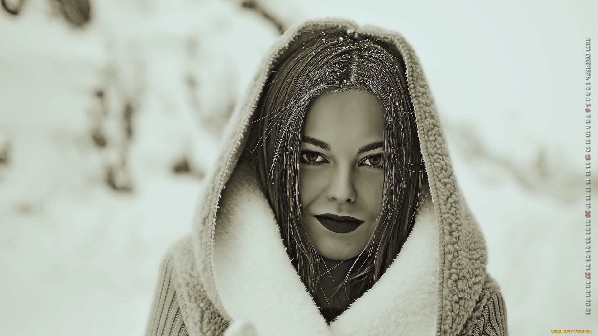календари, компьютерный, дизайн, 2019, calendar, женщина, капюшон, взгляд, снег, девушка