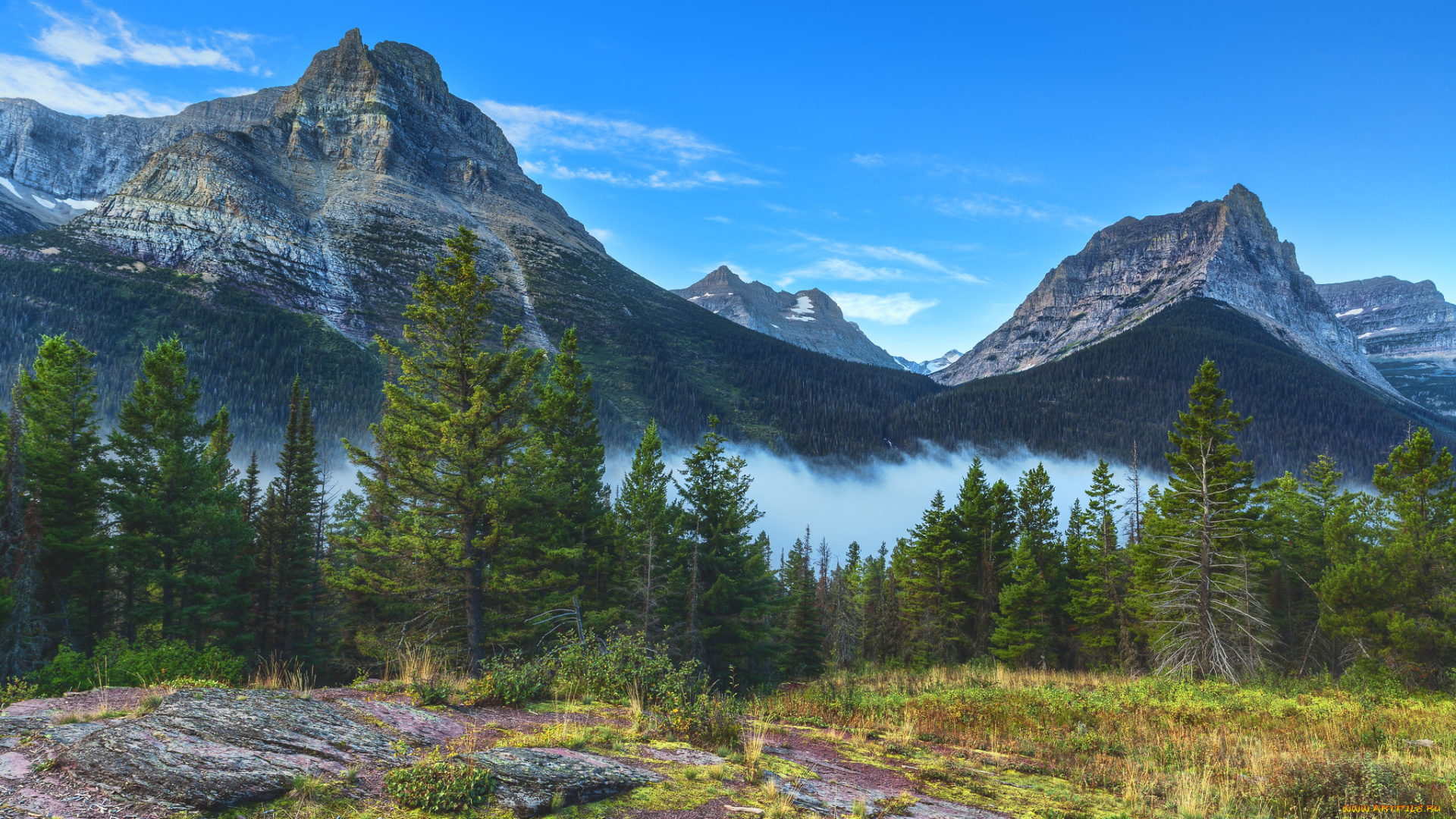 природа, горы, простор