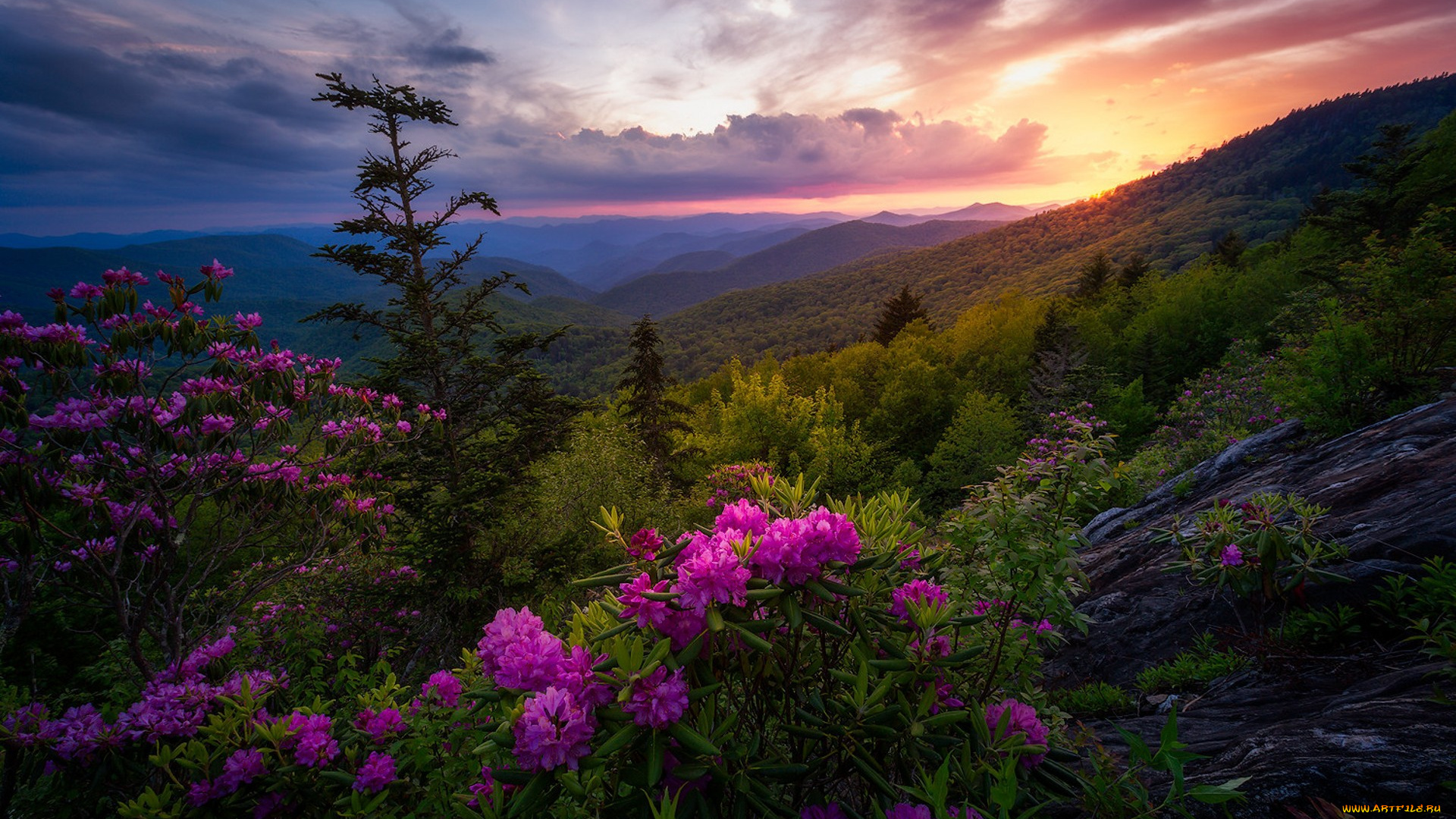 природа, пейзажи, простор