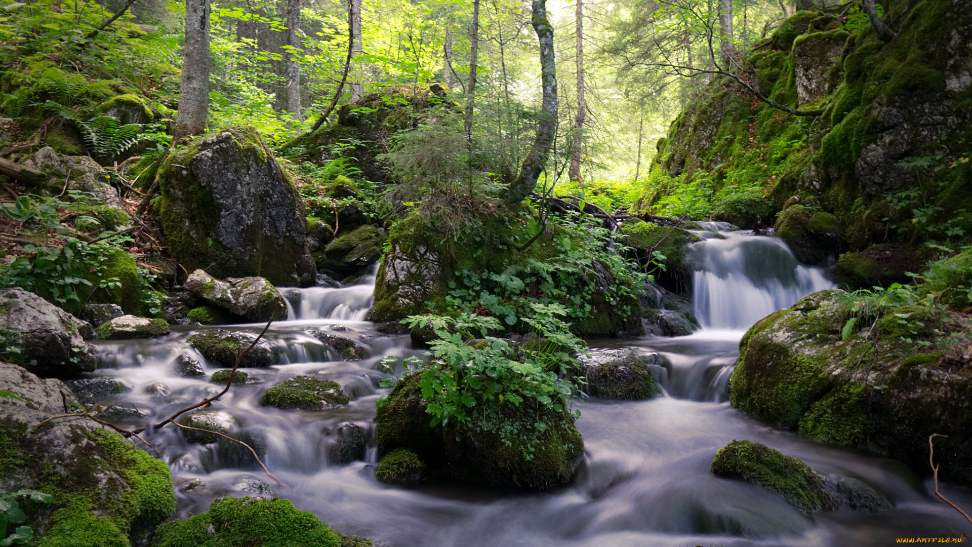 природа, реки, озера, простор