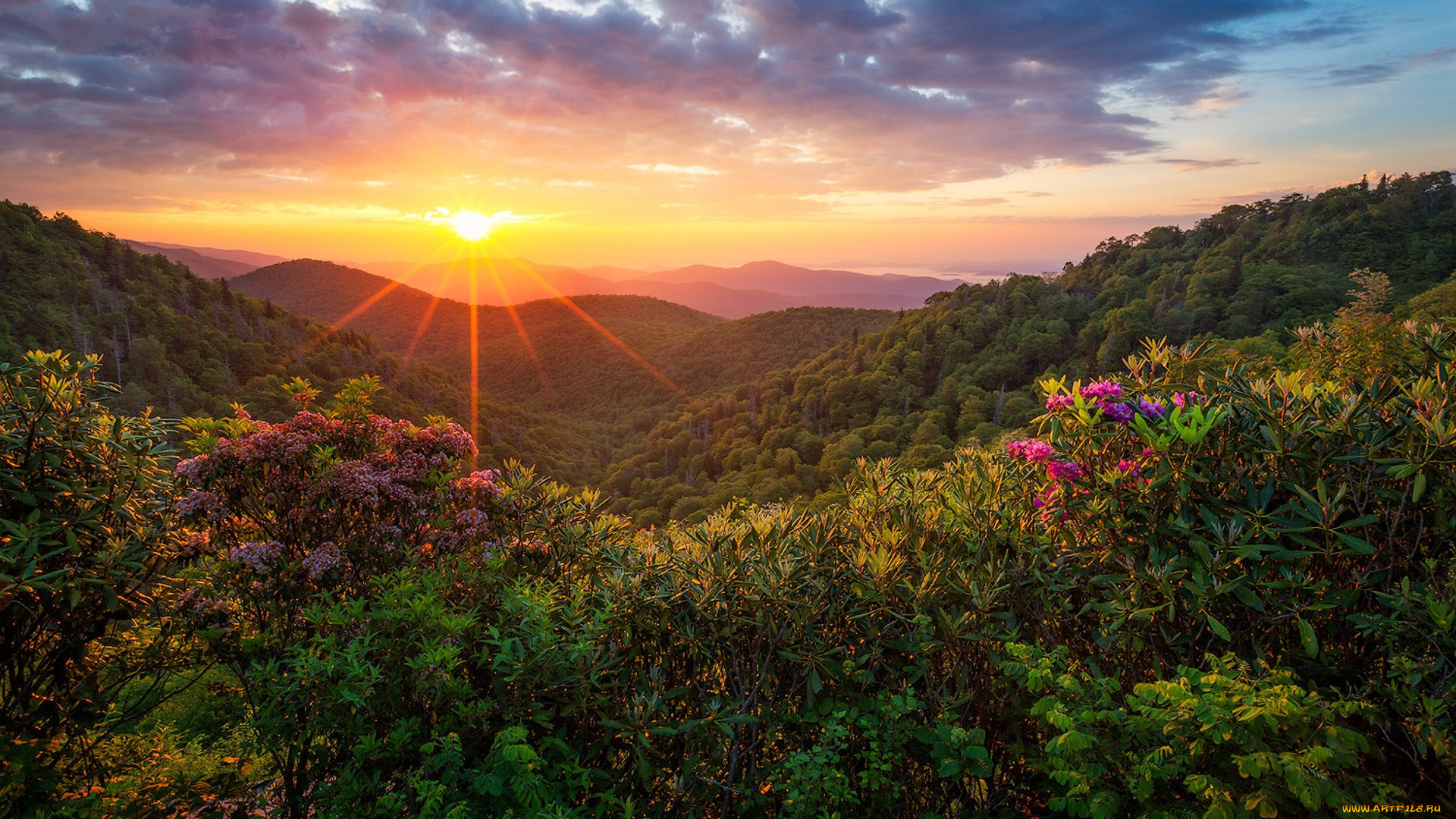 природа, восходы, закаты, простор