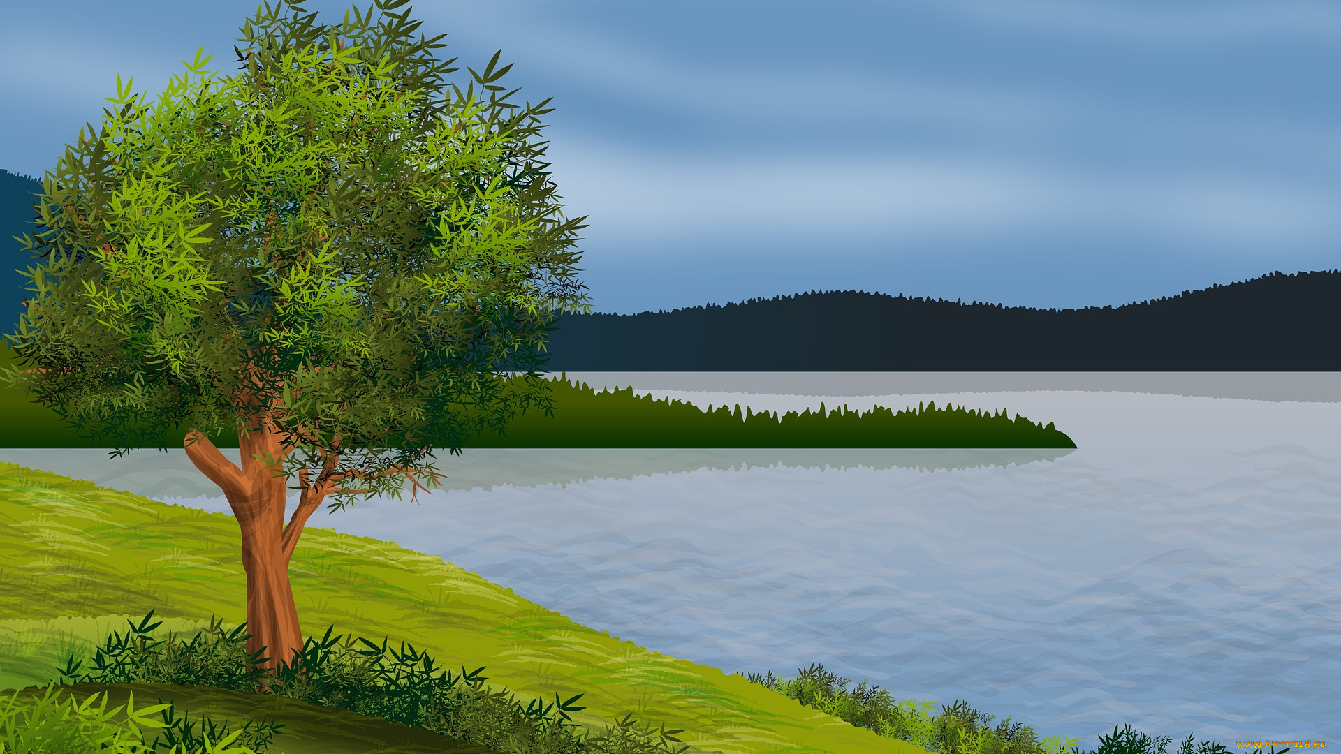 векторная, графика, природа, , nature, река, лес