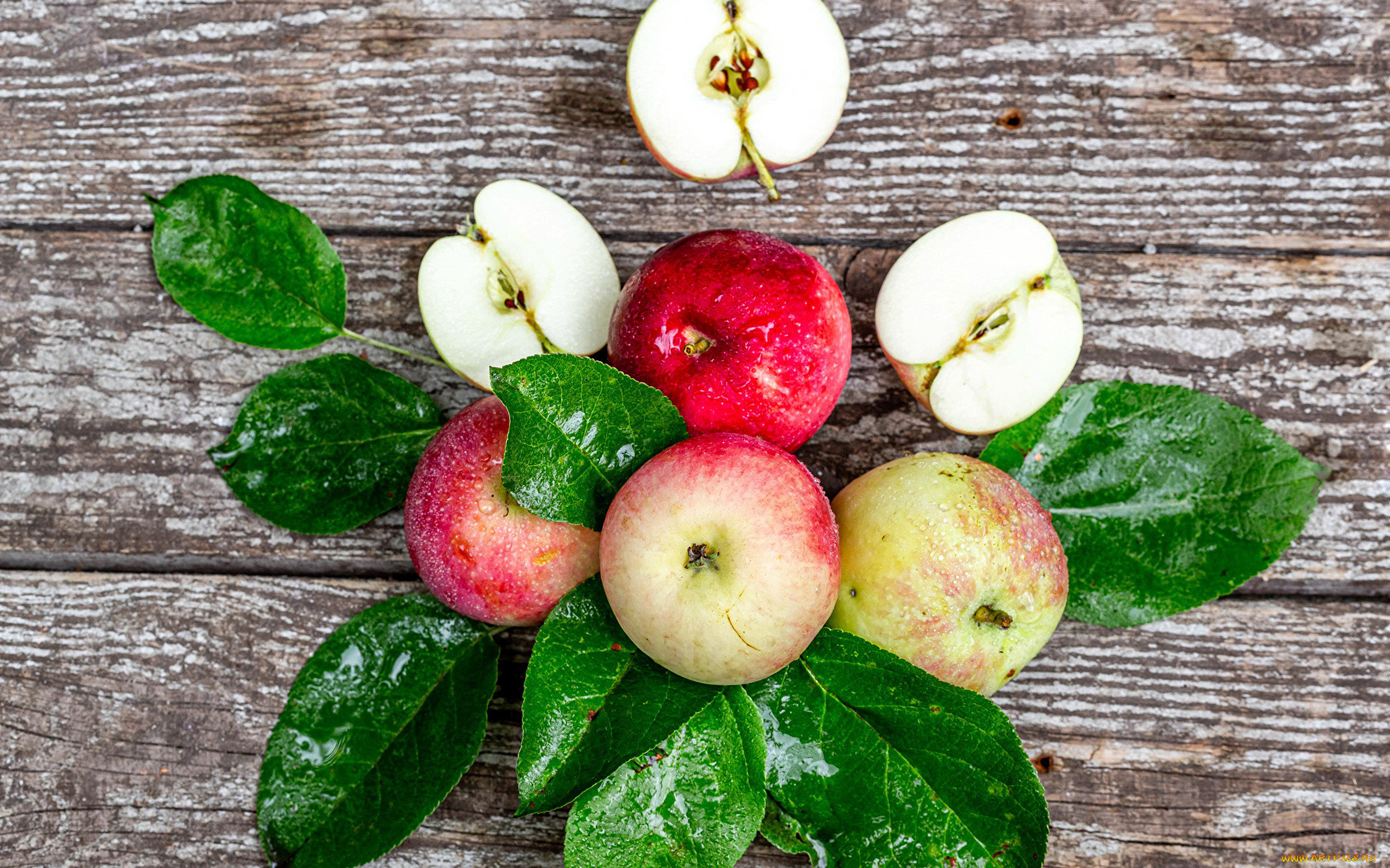 еда, яблоки, краснобокие