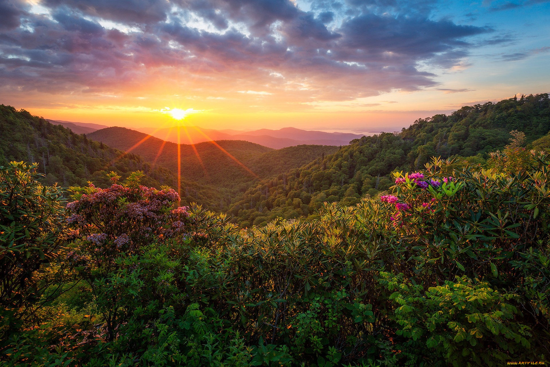 природа, восходы, закаты, простор